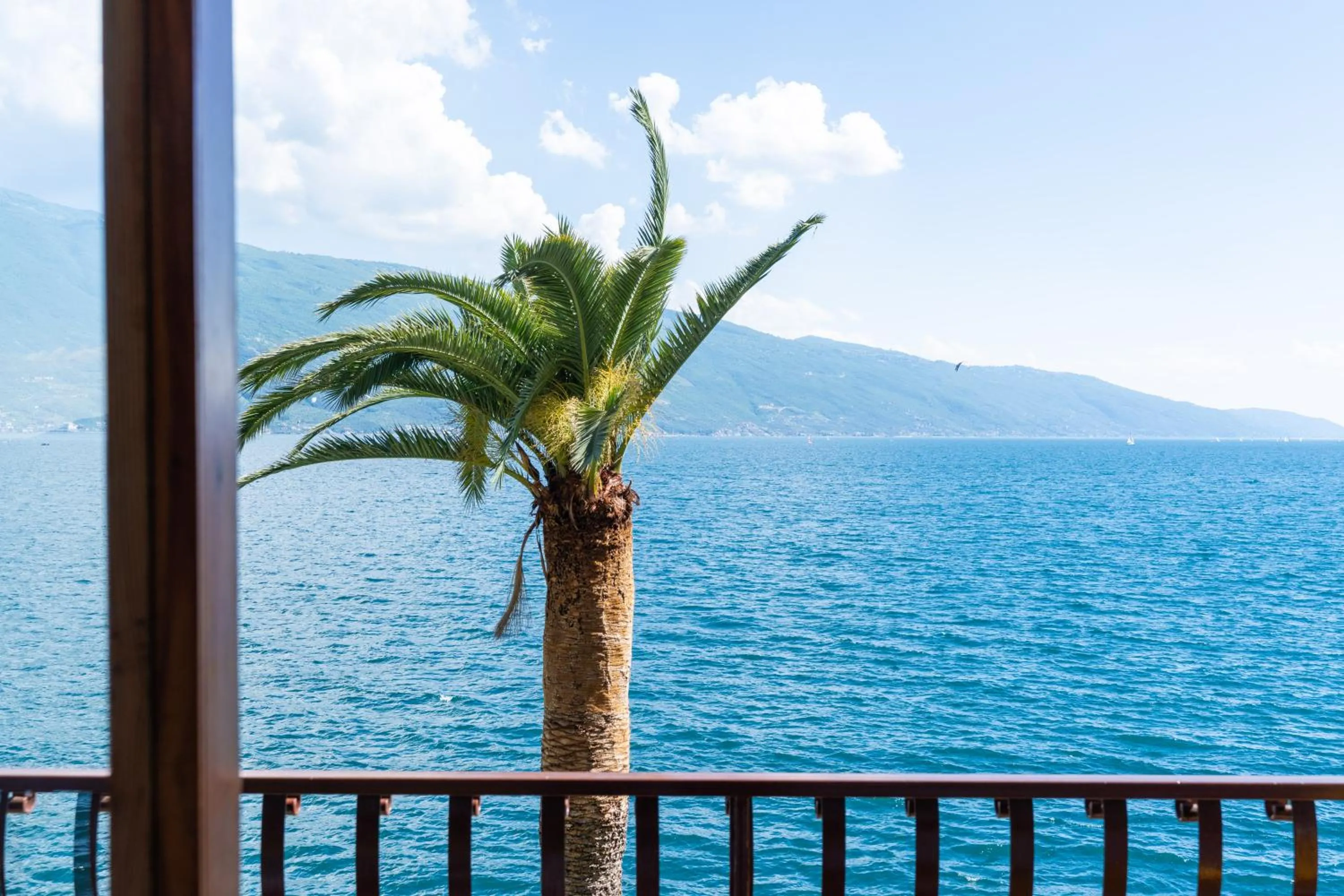 View (from property/room) in Hotel Forbisicle