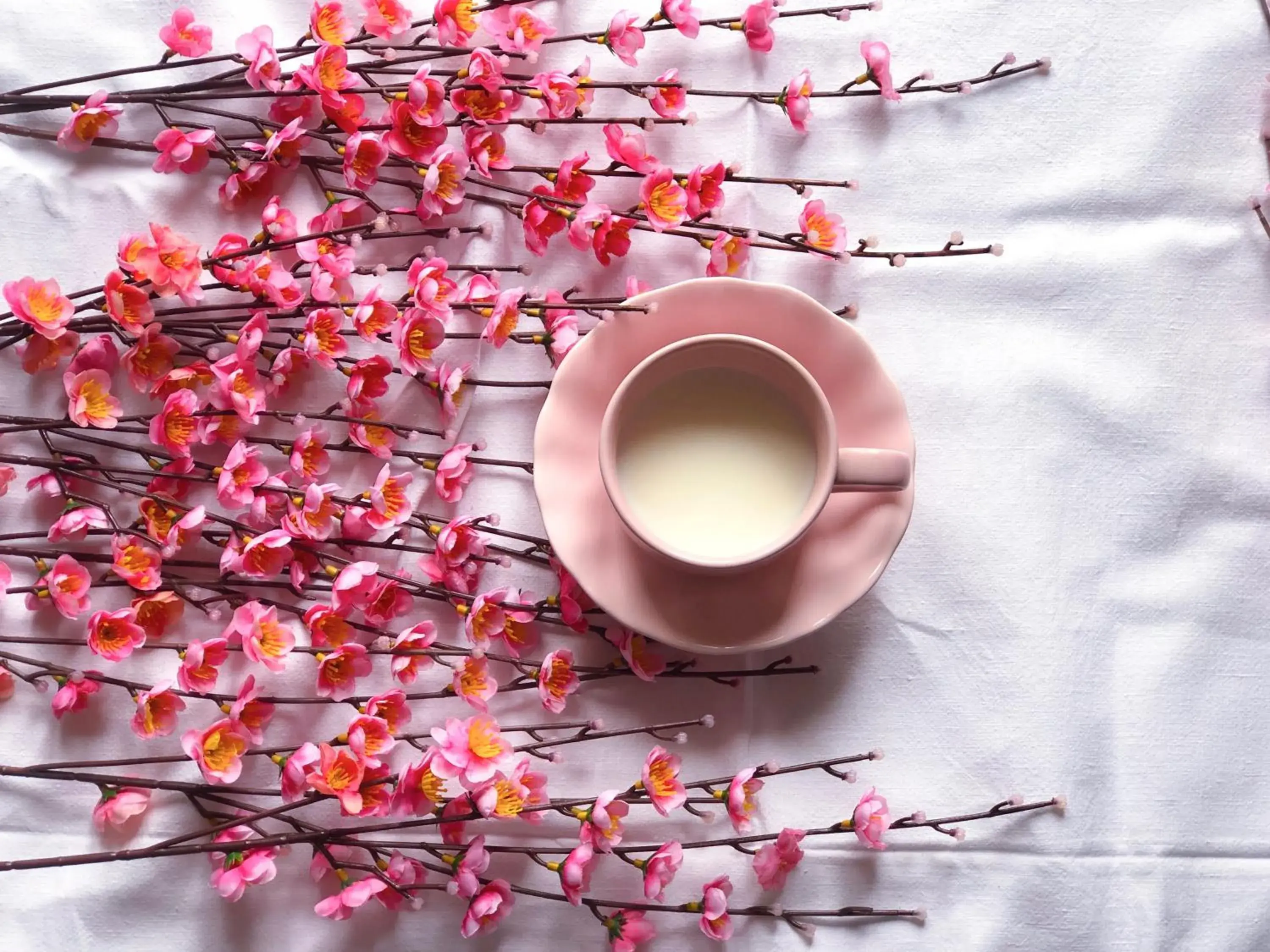 Deluxe Double or Twin Room - single occupancy in B&B Policlinico Gaspare Rodolico Deluxe Double or Twin Room - single occupancy in B&B Policlinico Gaspare Rodolico