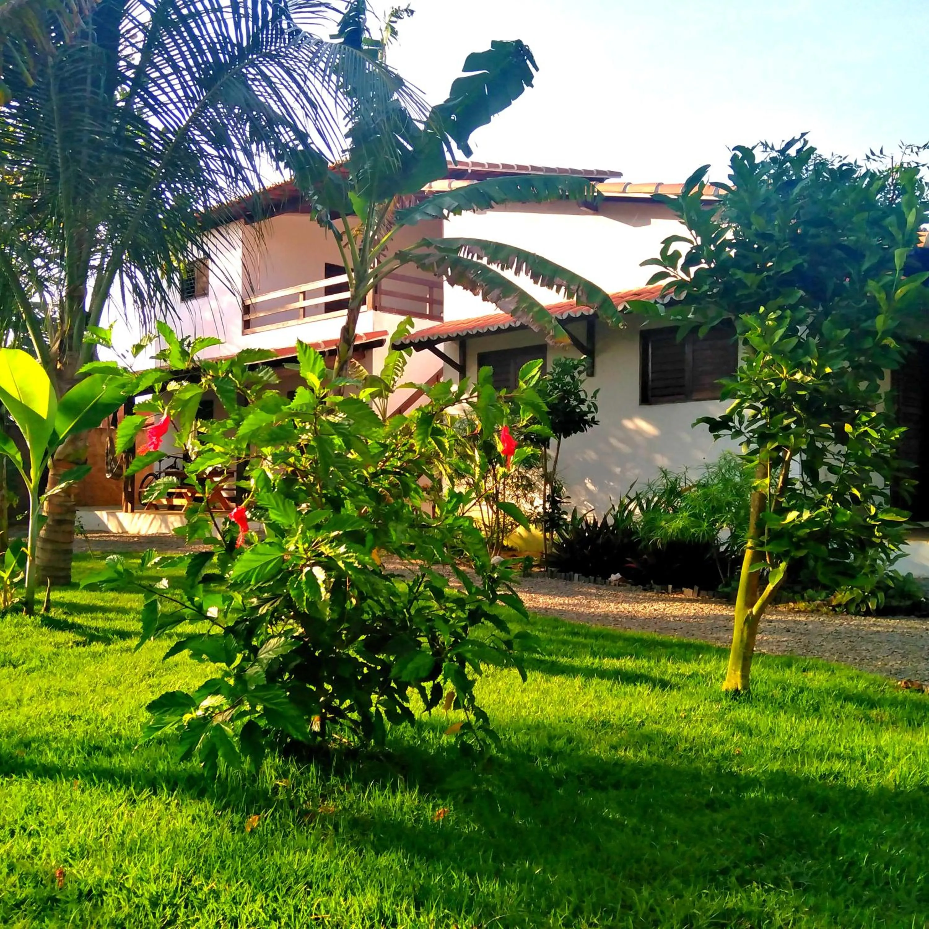 Garden in Tropicana Village