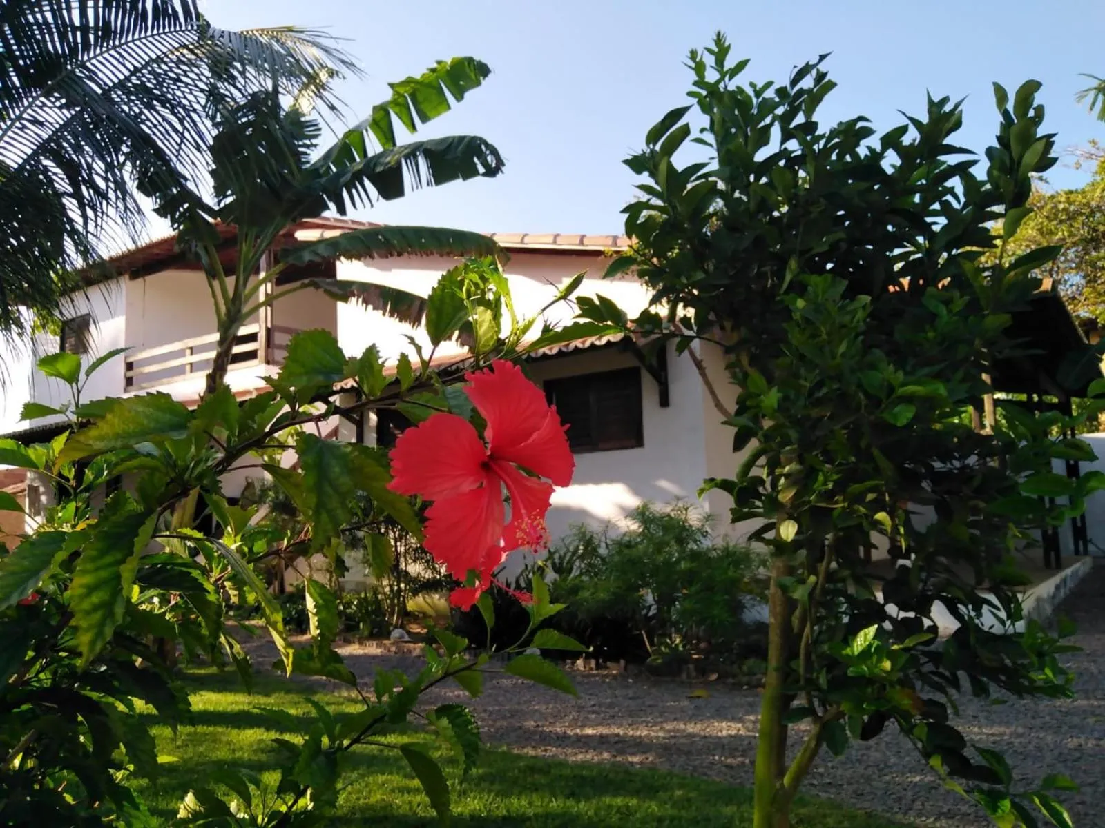 Property building in Tropicana Village