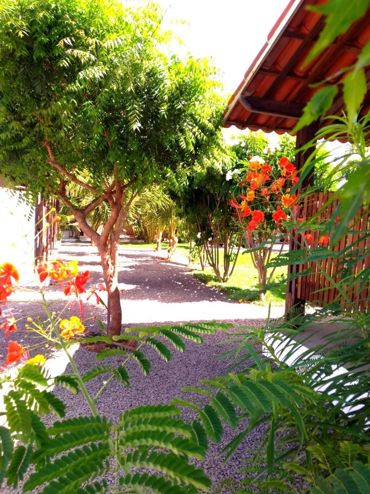 Garden in Tropicana Village