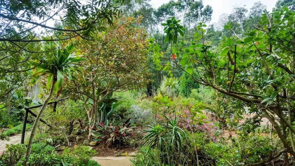 Veki's Village Cottages