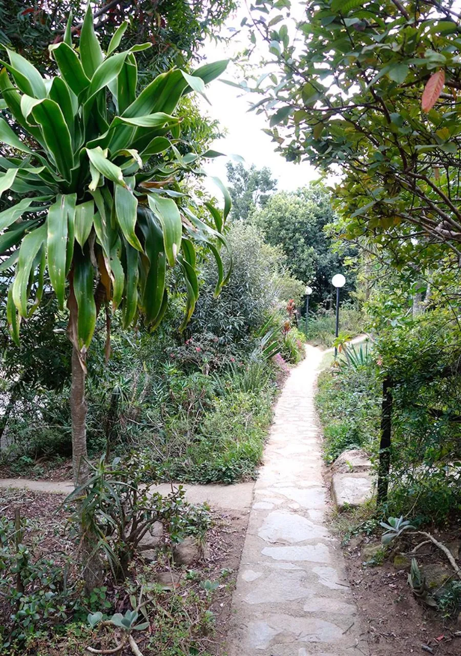 Garden in Veki's Village Cottages