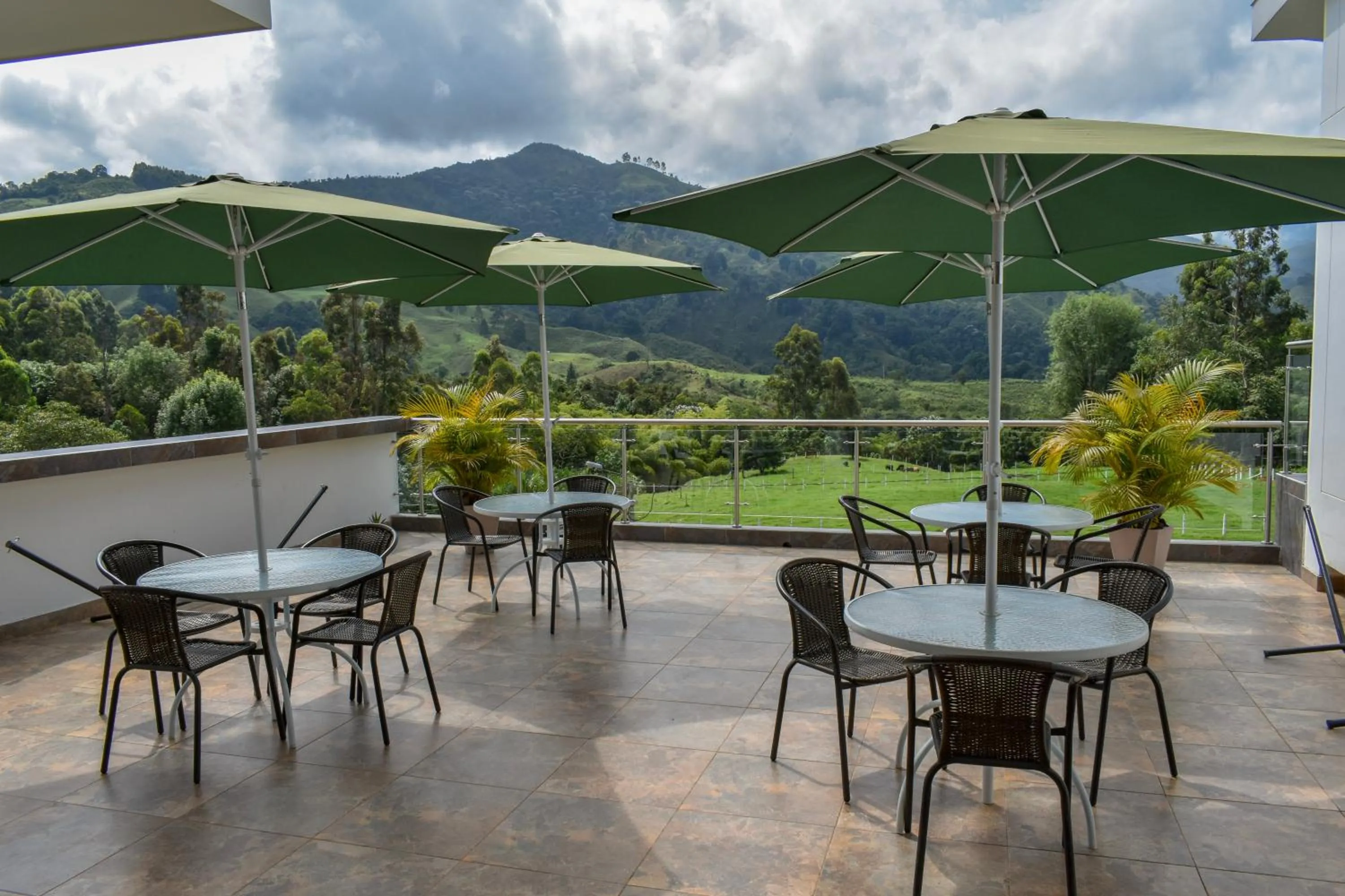 View (from property/room) in Hotel Boutique Palmas de Salento