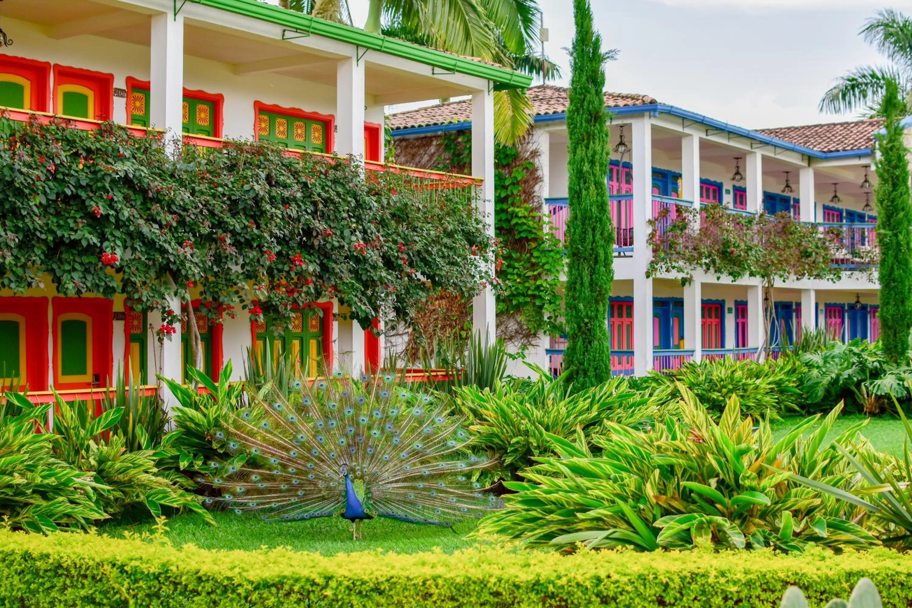 Hotel Campestre Cafe Cafe