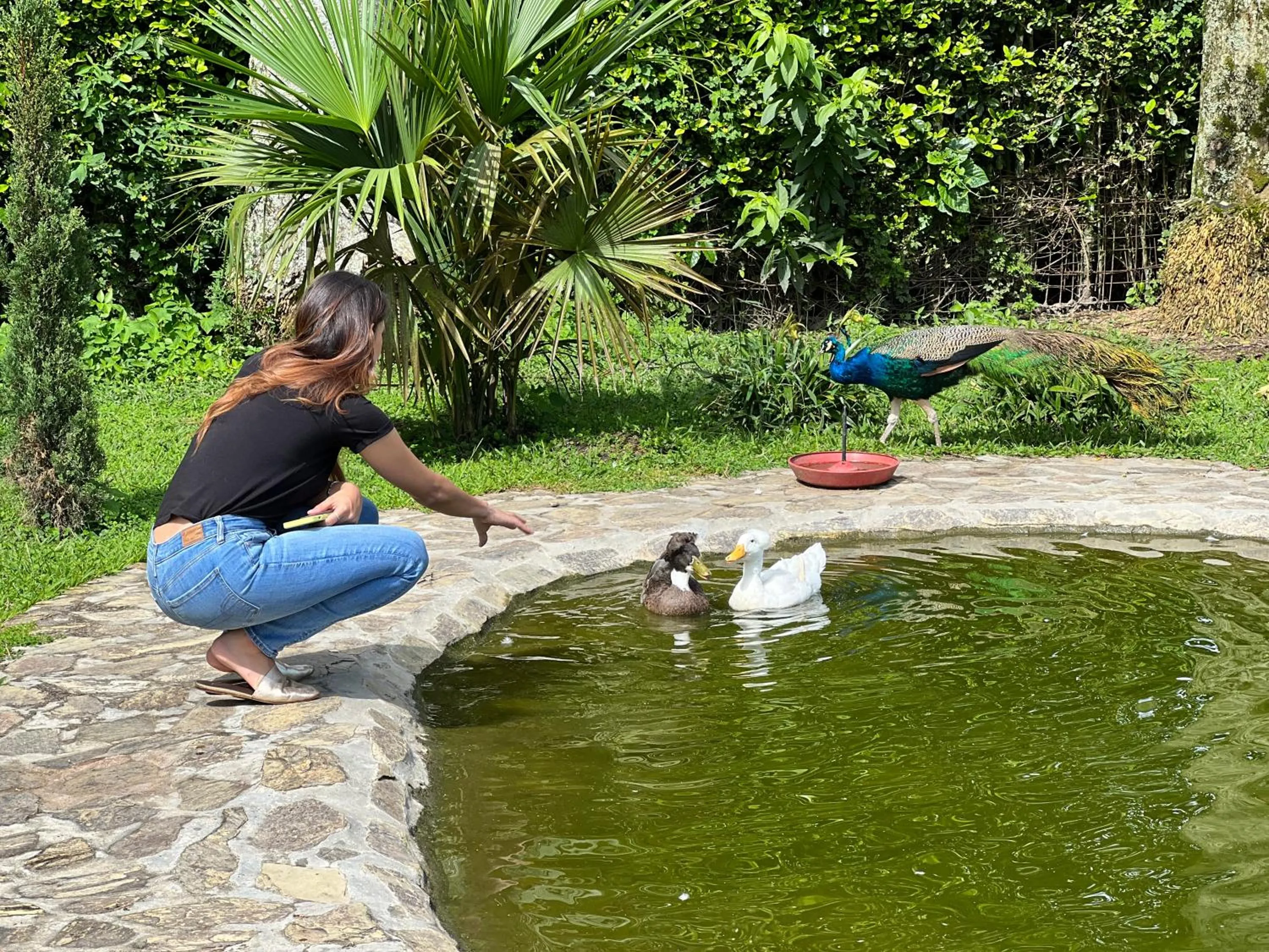 Lake view in Hotel Campestre Cafe Cafe
