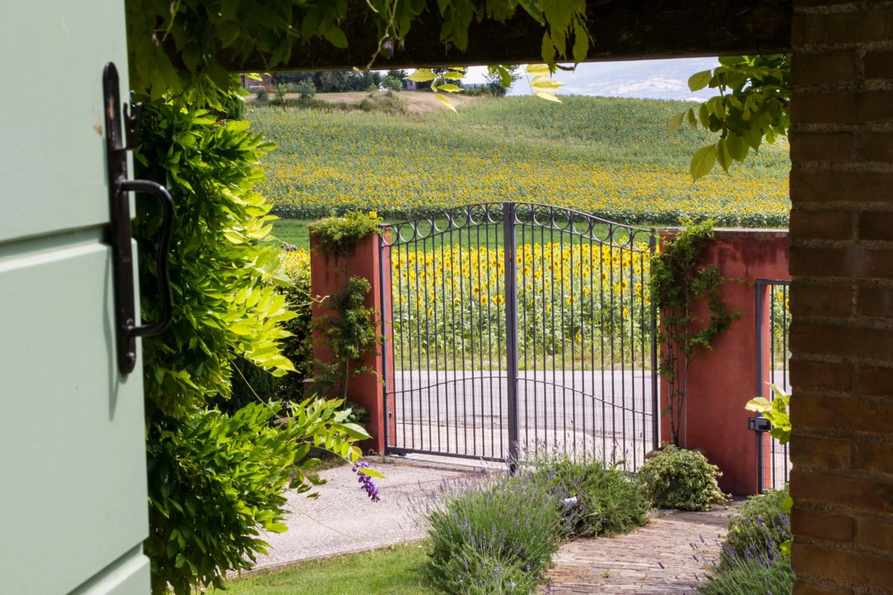 Facade/entrance in Il Giardino delle Rose