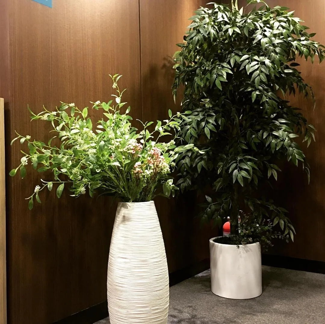 Area and facilities in Philstay Myeongdong Station