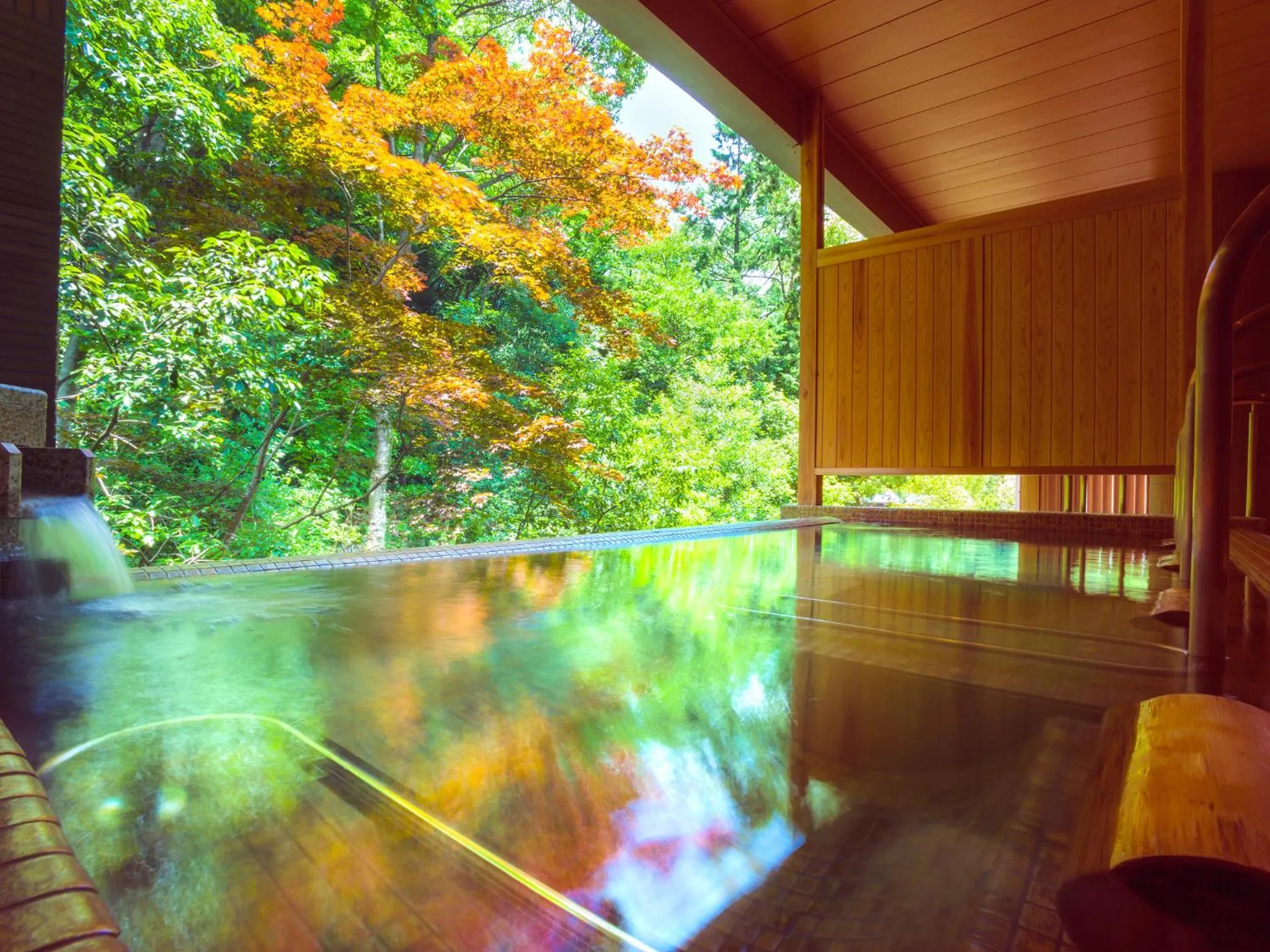 Hot Spring Bath in Asan Kotonami
