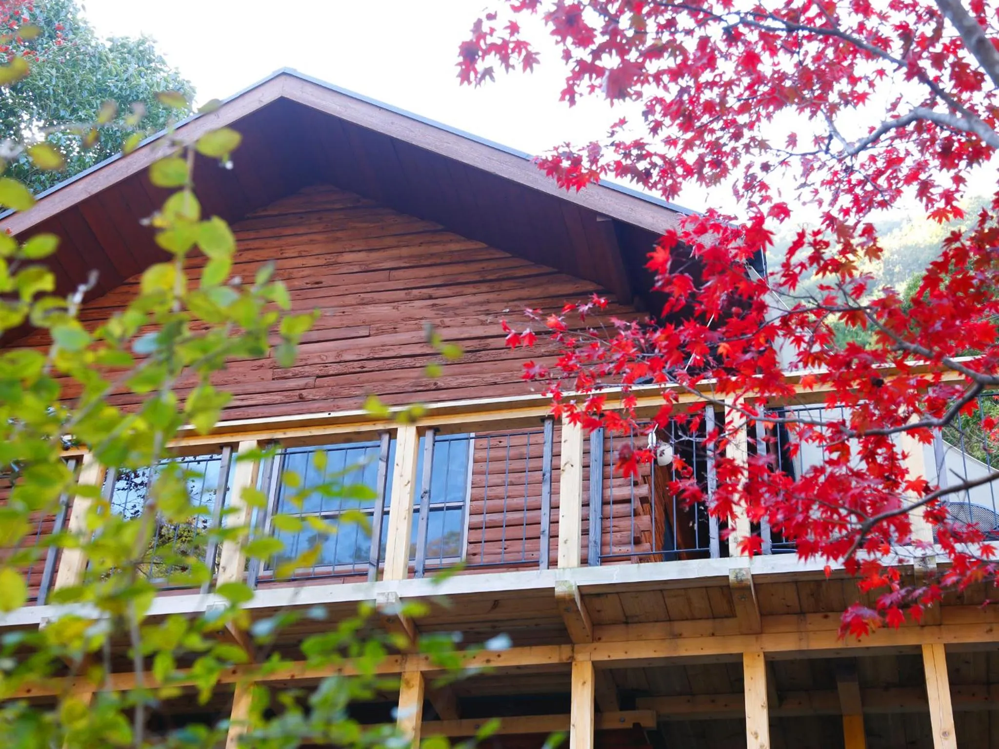 Balcony/Terrace in Asan Kotonami