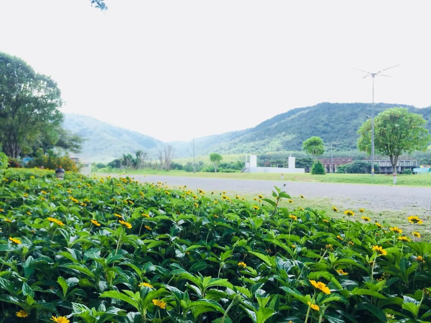 Samerdrow Khao Yai