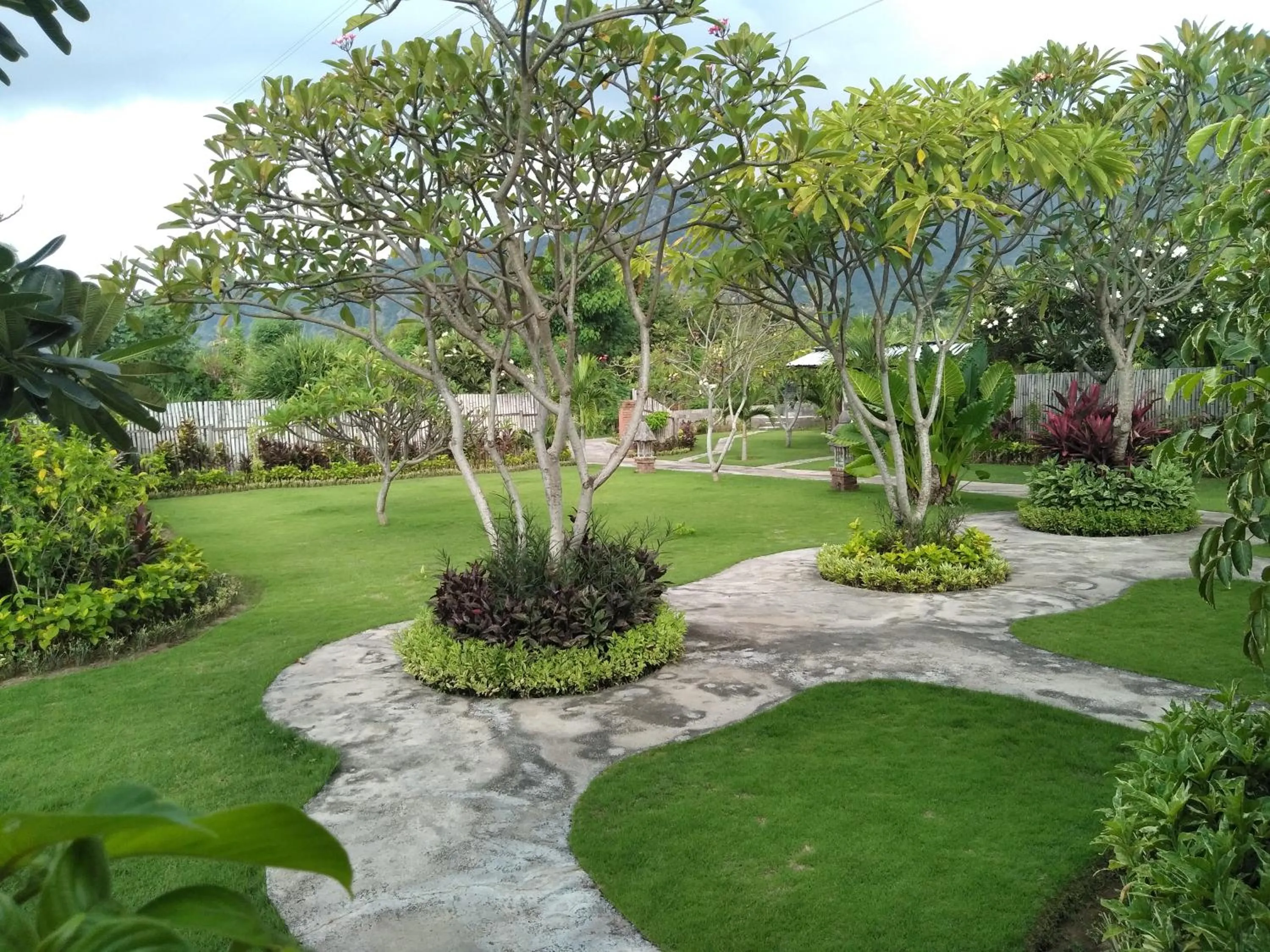 Garden in Krisna Homestay