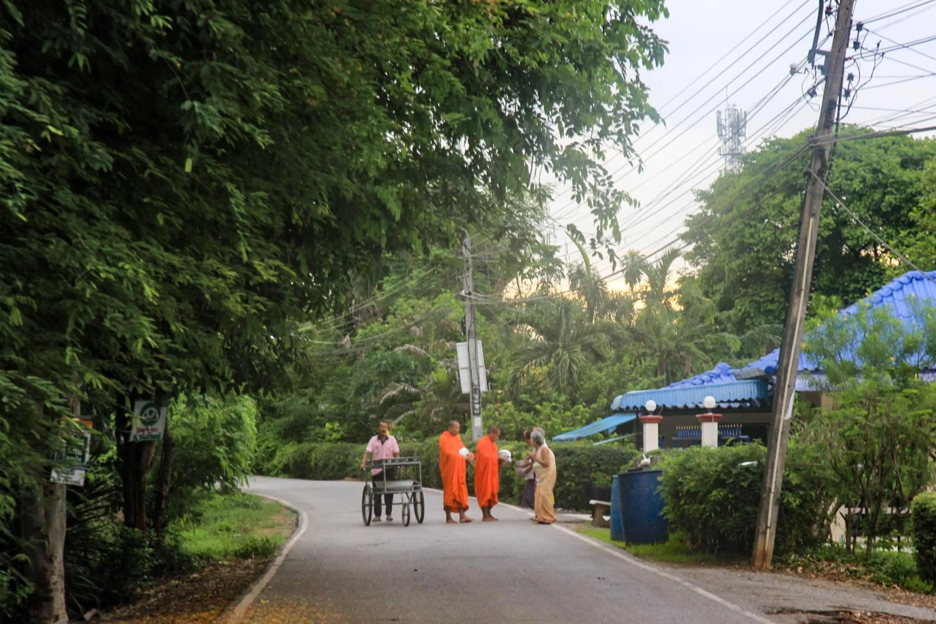 Natural landscape in The Antique Riverside Resort