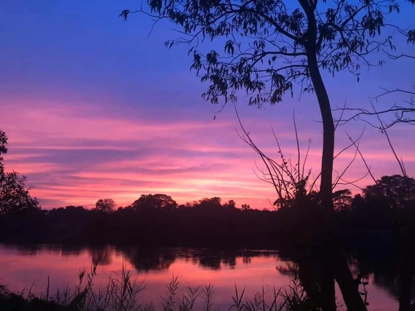 Natural landscape in The Antique Riverside Resort