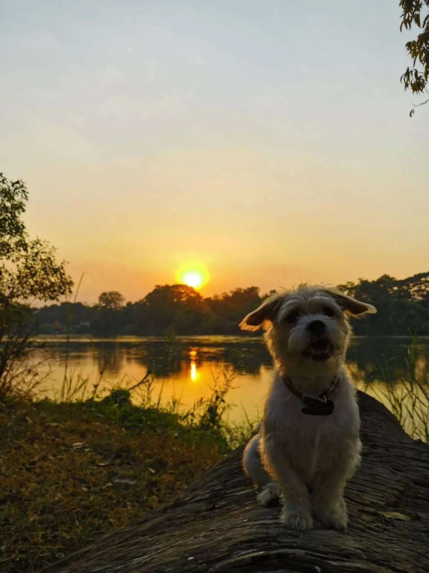 Sunrise in The Antique Riverside Resort