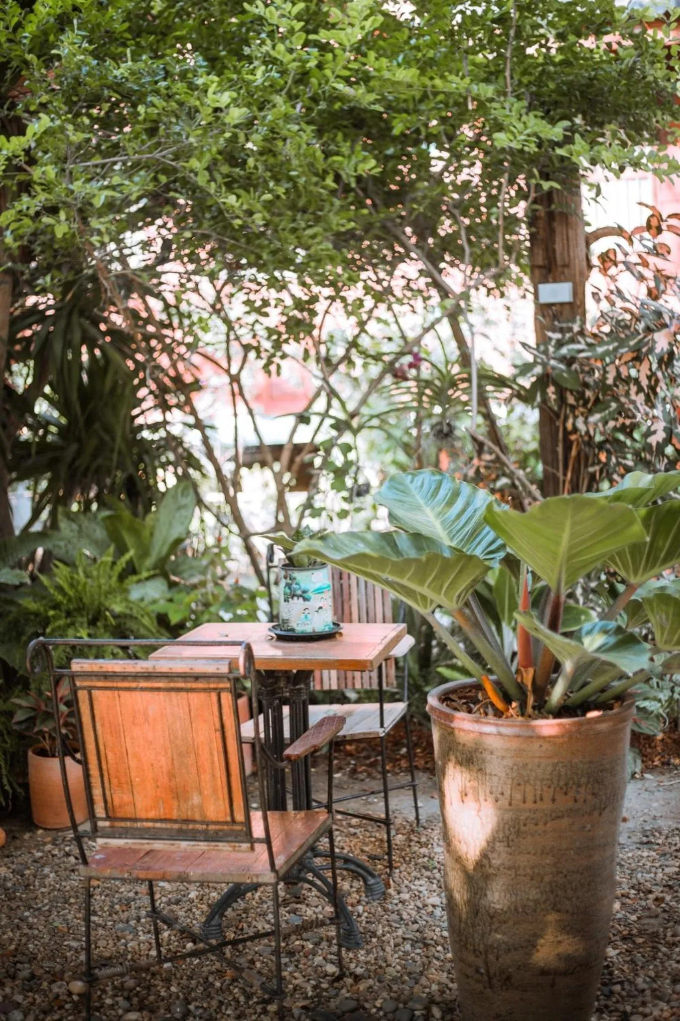 Garden in The Antique Riverside Resort