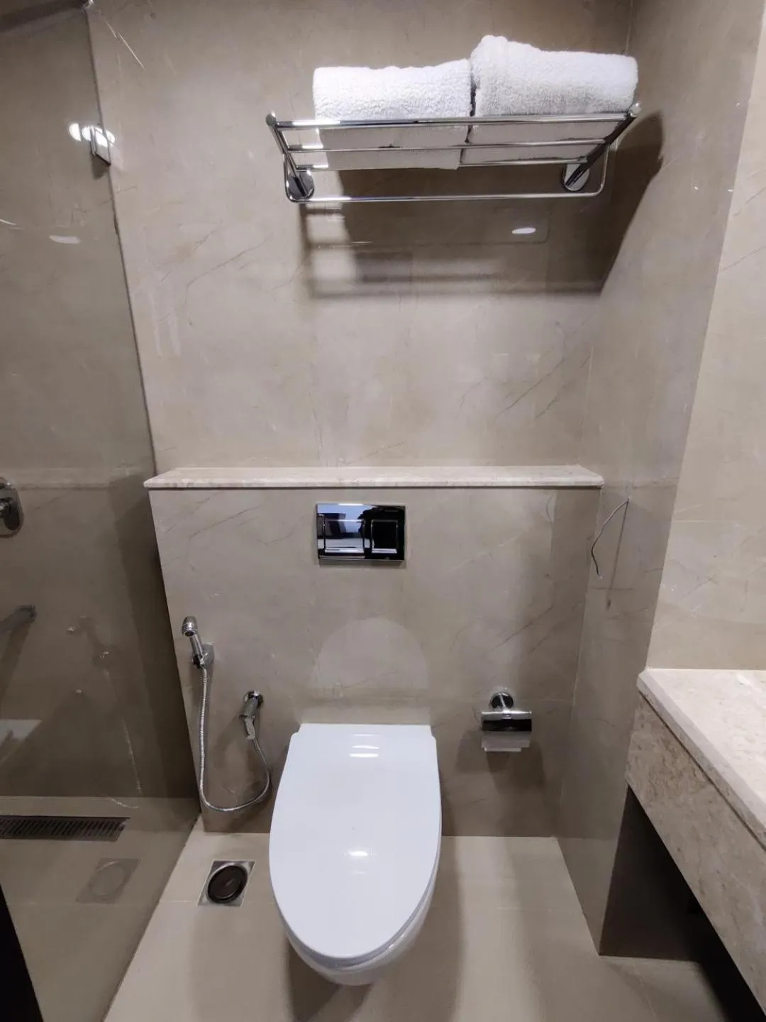 Toilet in Issacs Residency