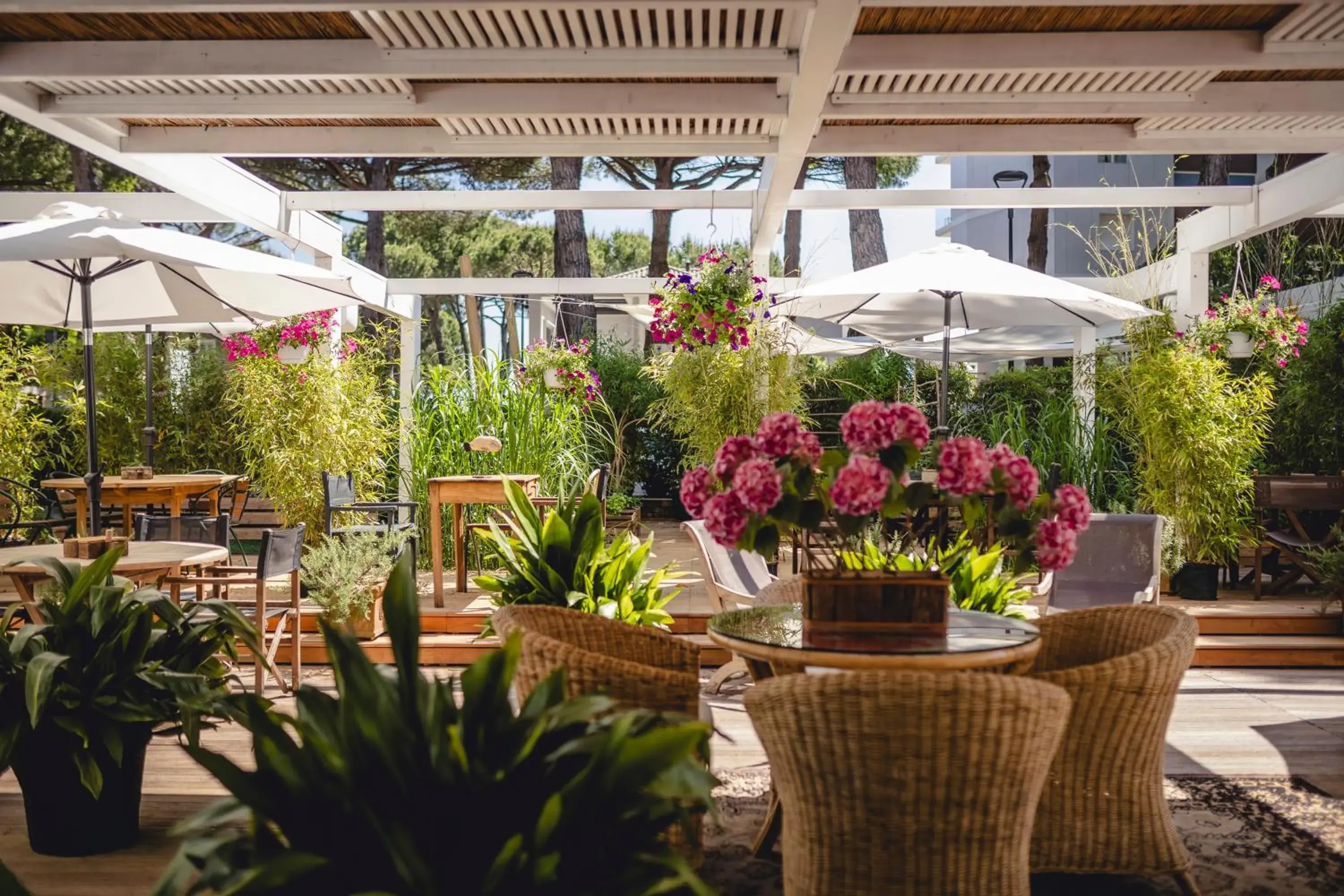 Hotel Saraceno Resort with Private Beach Hotel Saraceno Resort with Private Beach