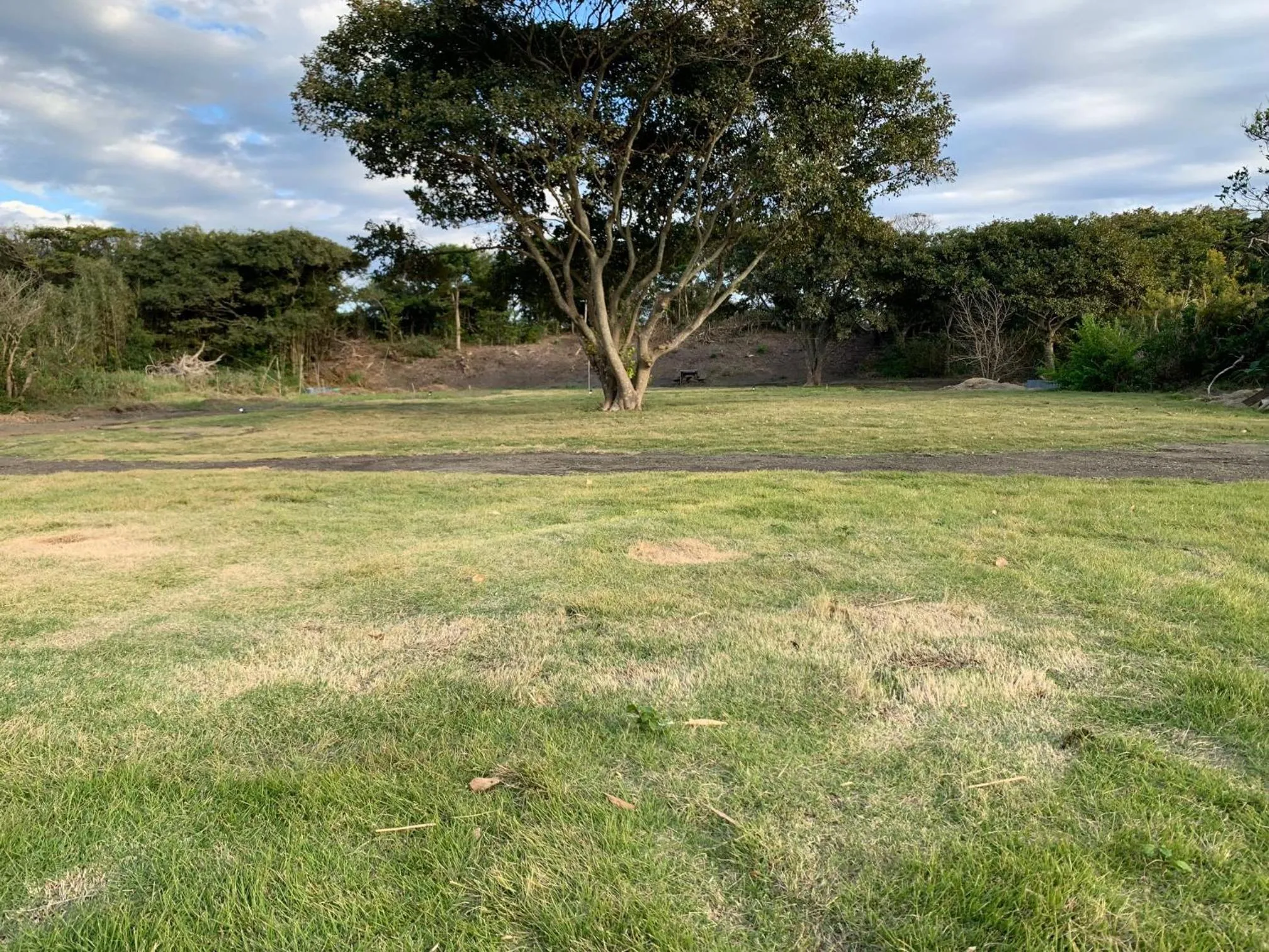 Natural landscape in South Bird Inn