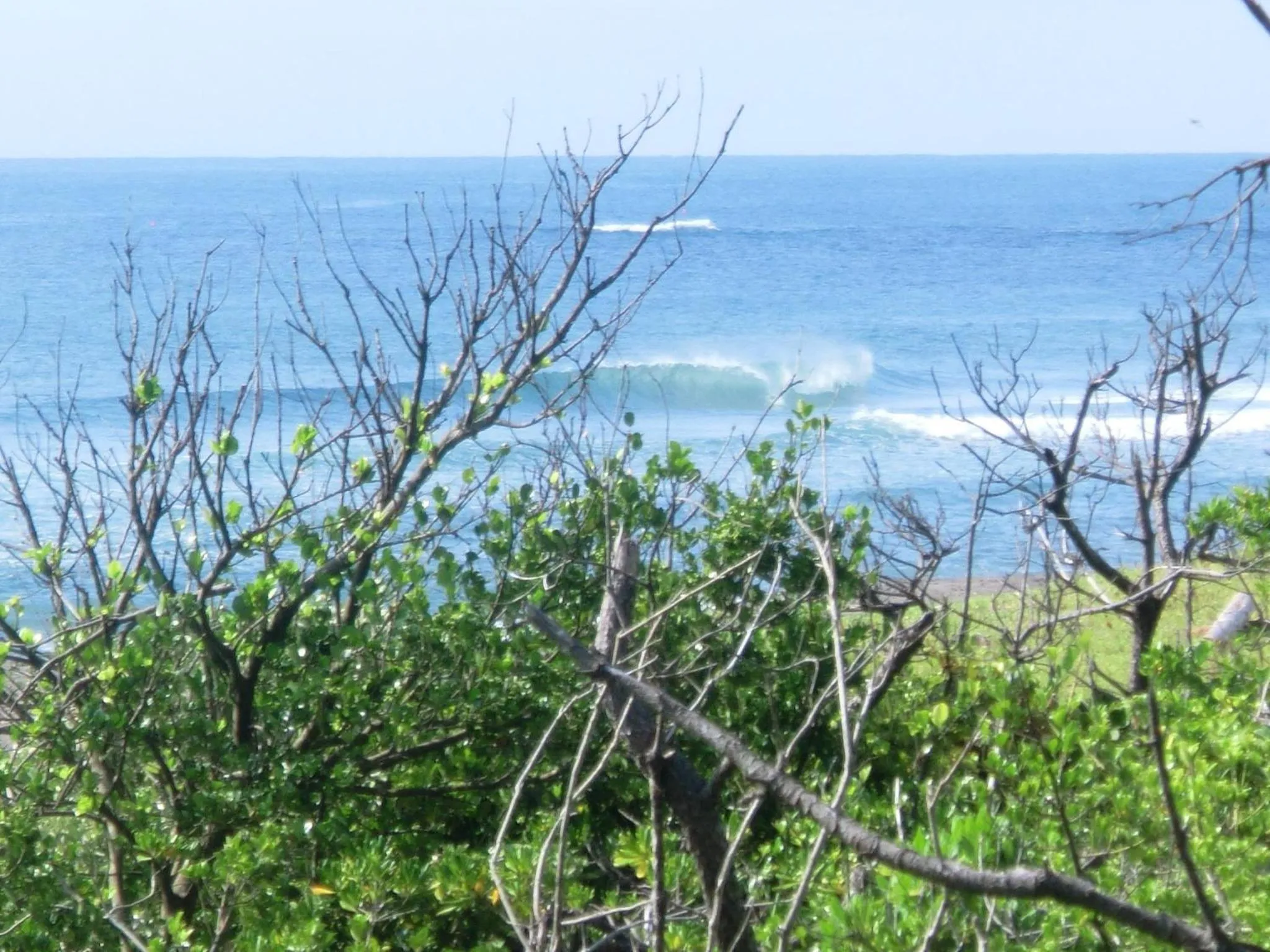 Natural landscape in South Bird Inn