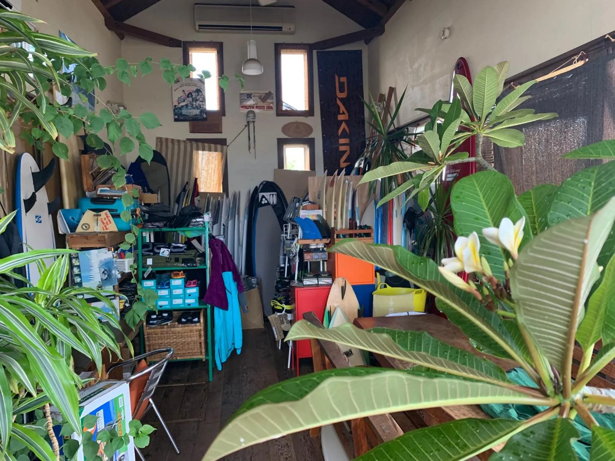 On-site shops in South Bird Inn