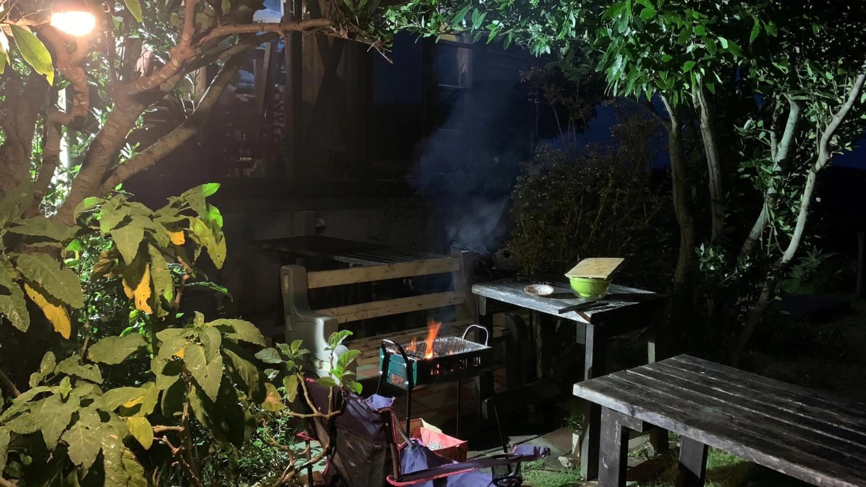 BBQ facilities in South Bird Inn