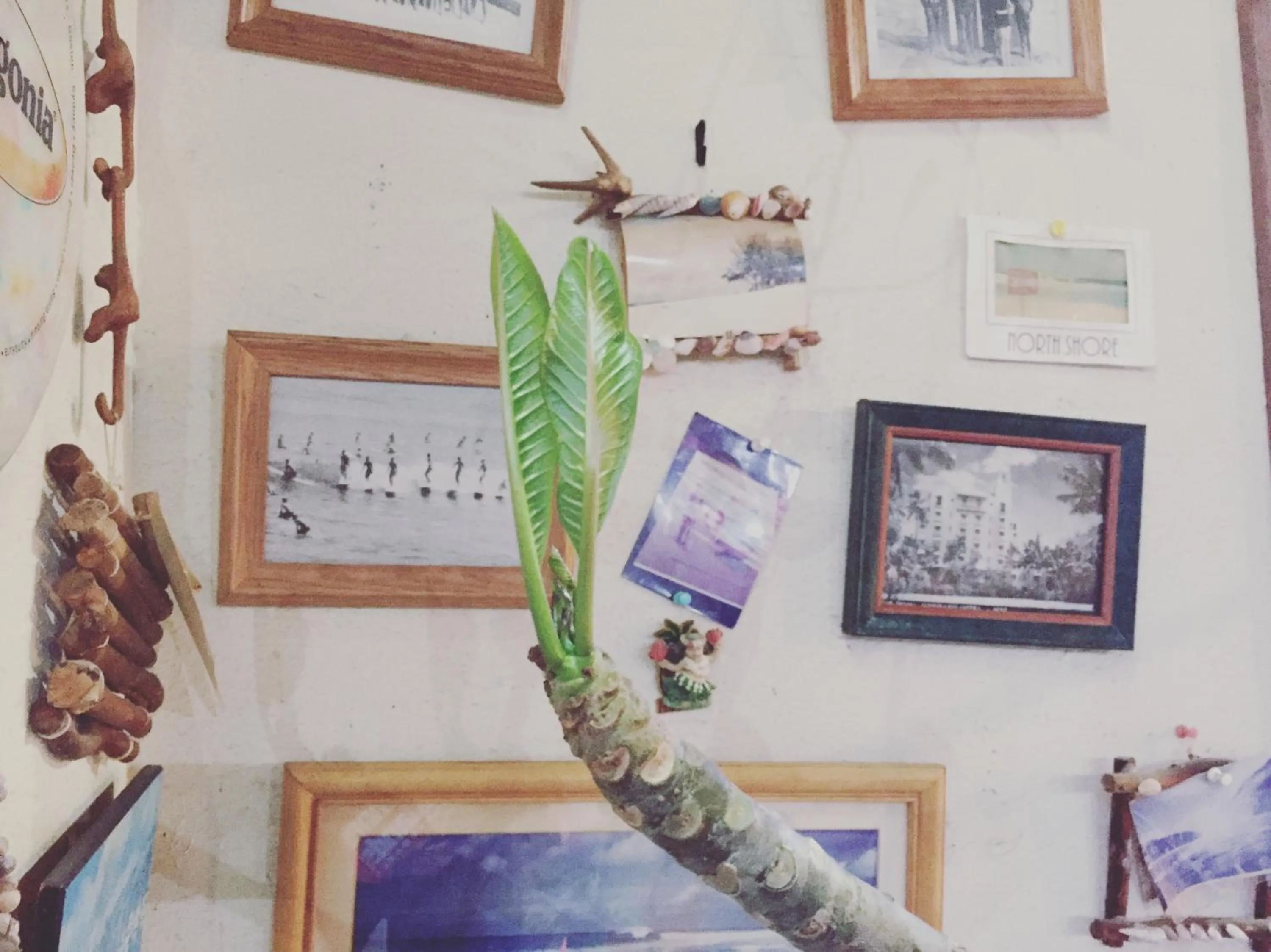 Decorative detail in South Bird Inn