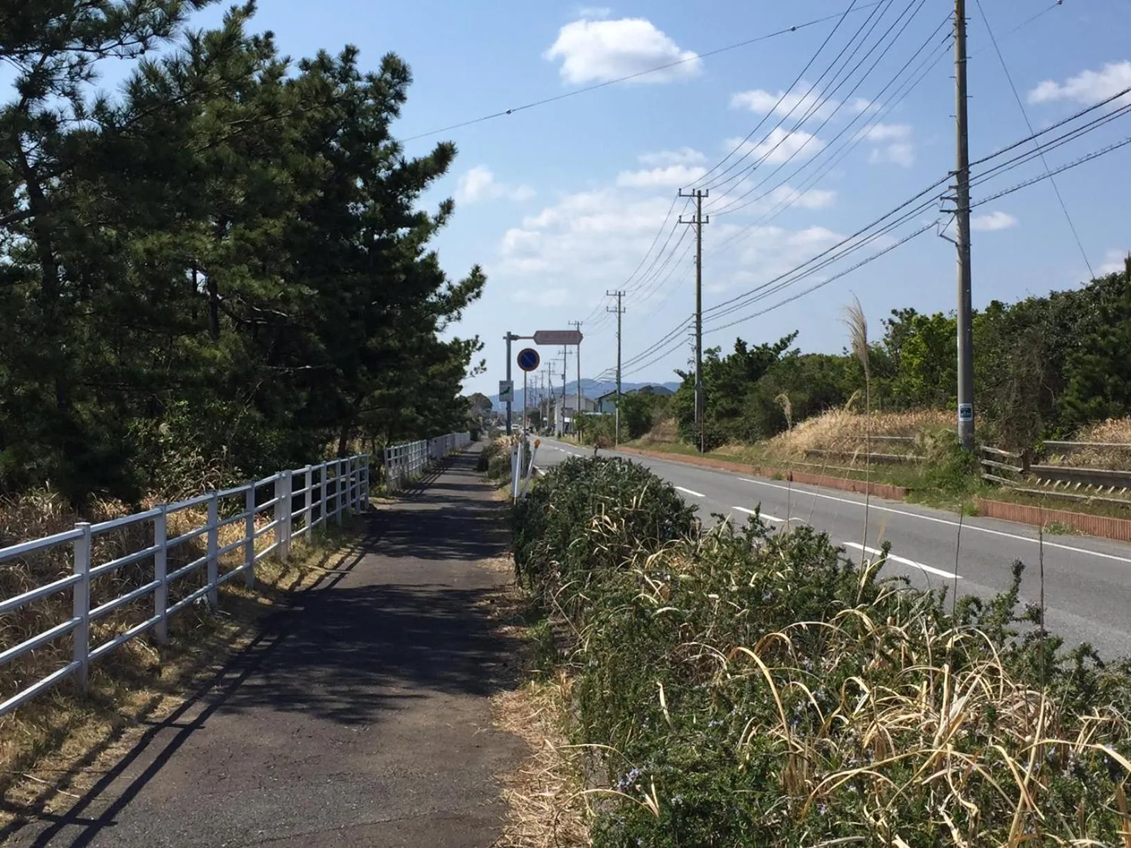 Off site in South Bird Inn