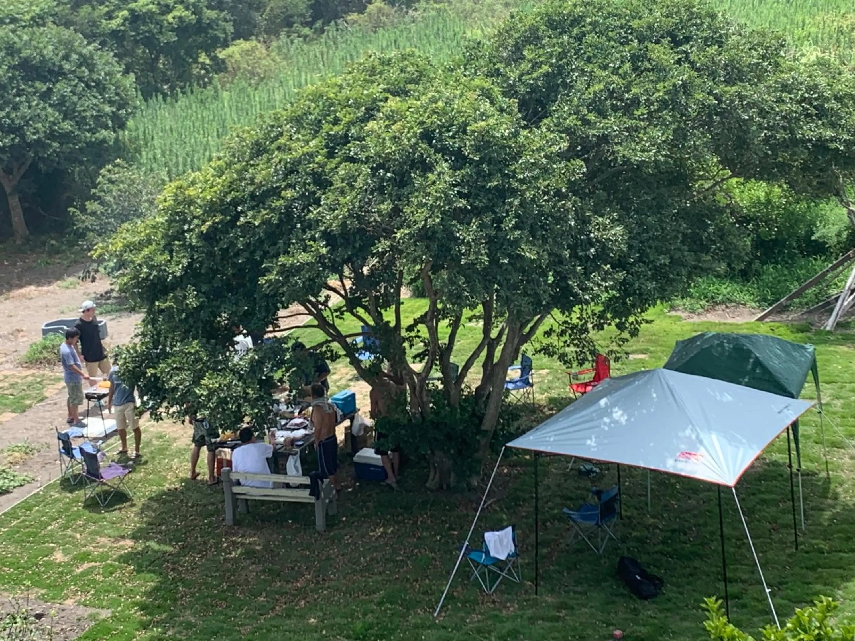 Natural landscape in South Bird Inn