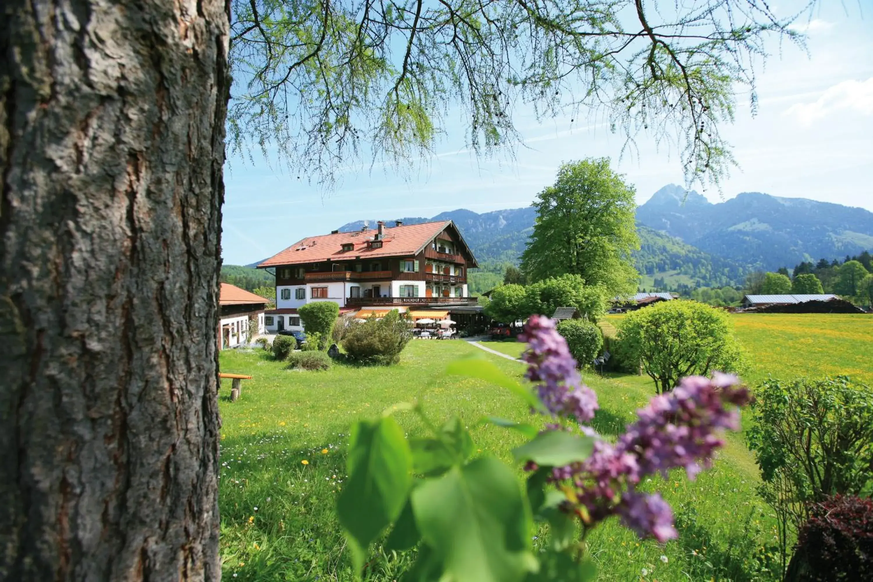 Postgasthof, Hotel Rote-Wand Postgasthof, Hotel Rote-Wand