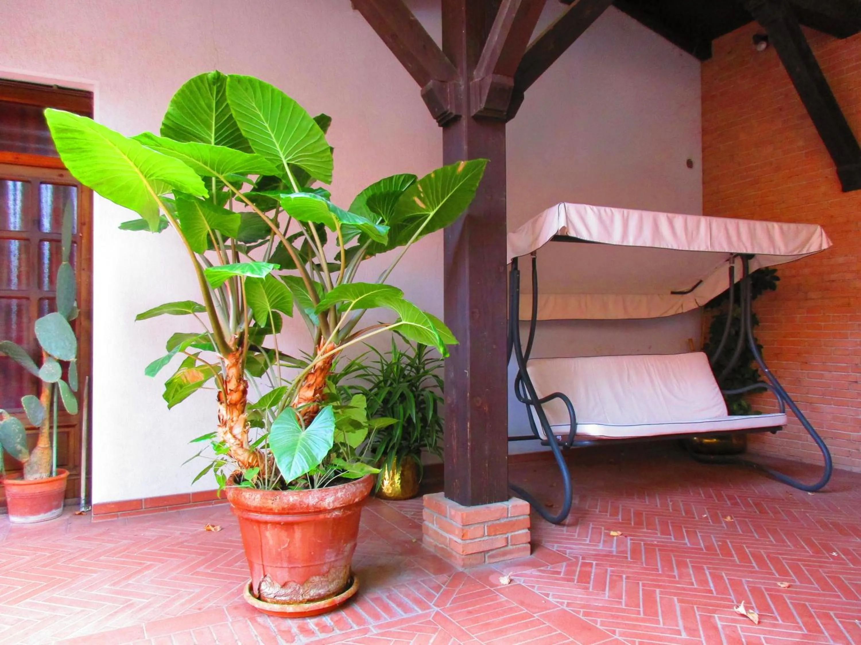 Patio in Albergo Sapori