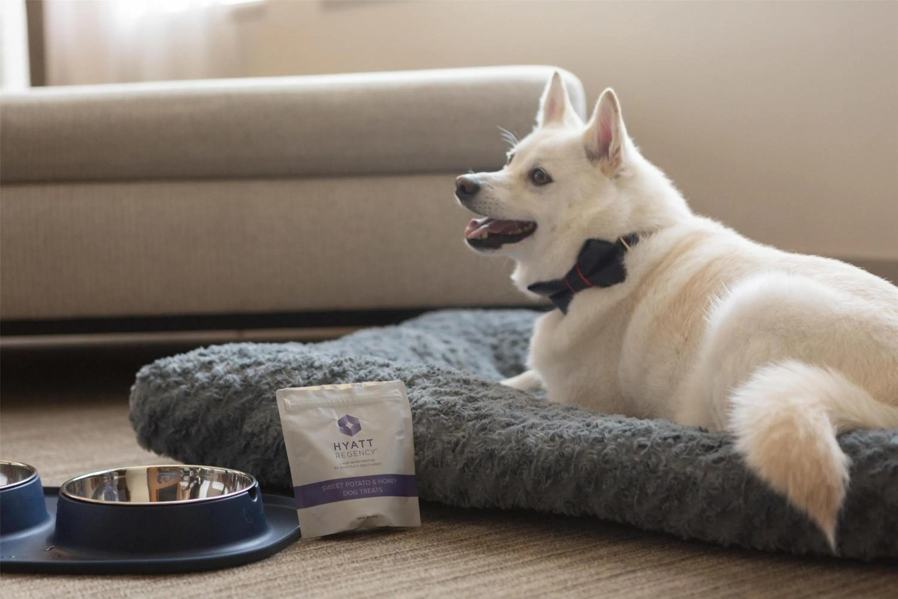 Bedroom in Hyatt Regency Lake Washington at Seattle's Southport