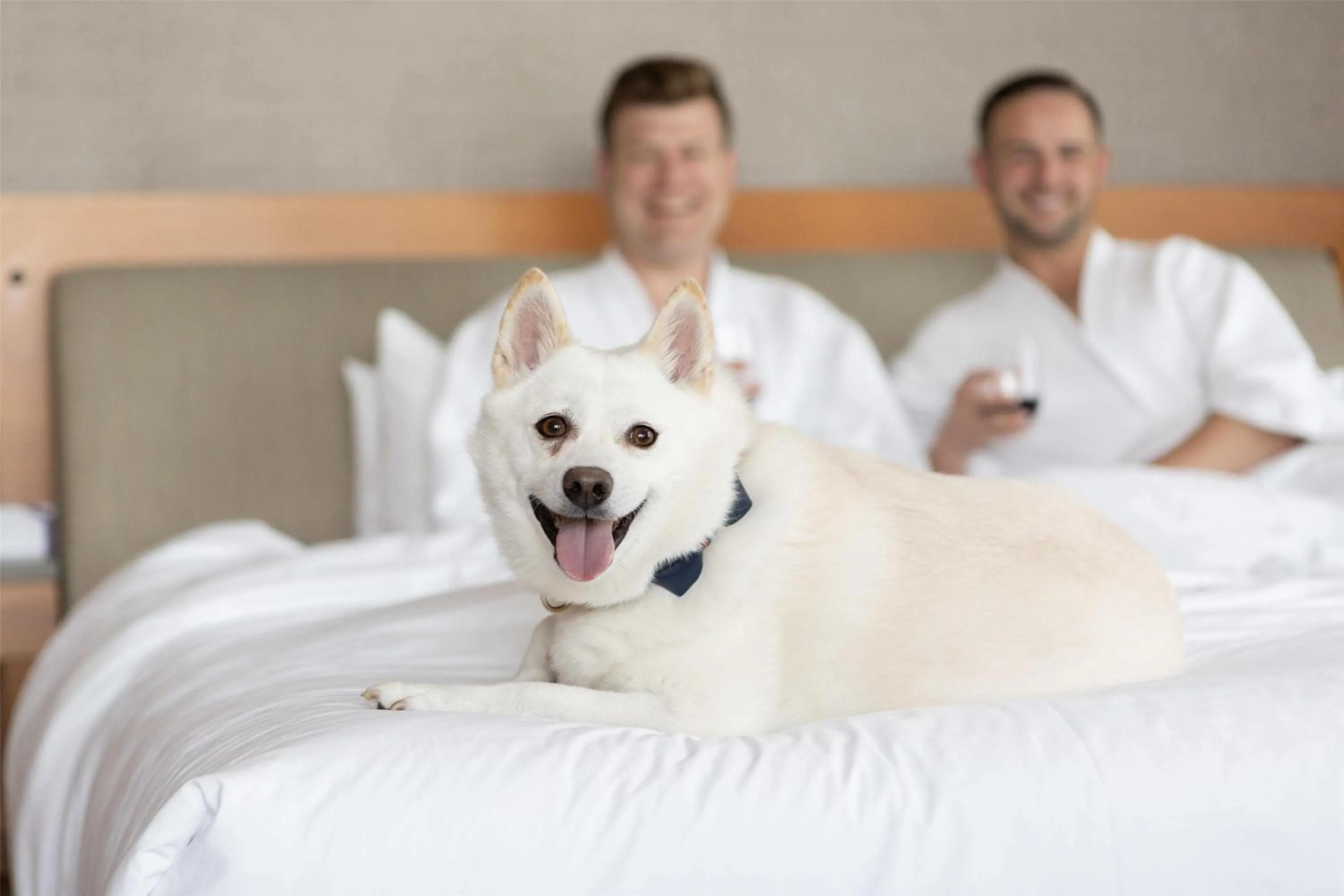 Bedroom, Bed in Hyatt Regency Lake Washington at Seattle's Southport