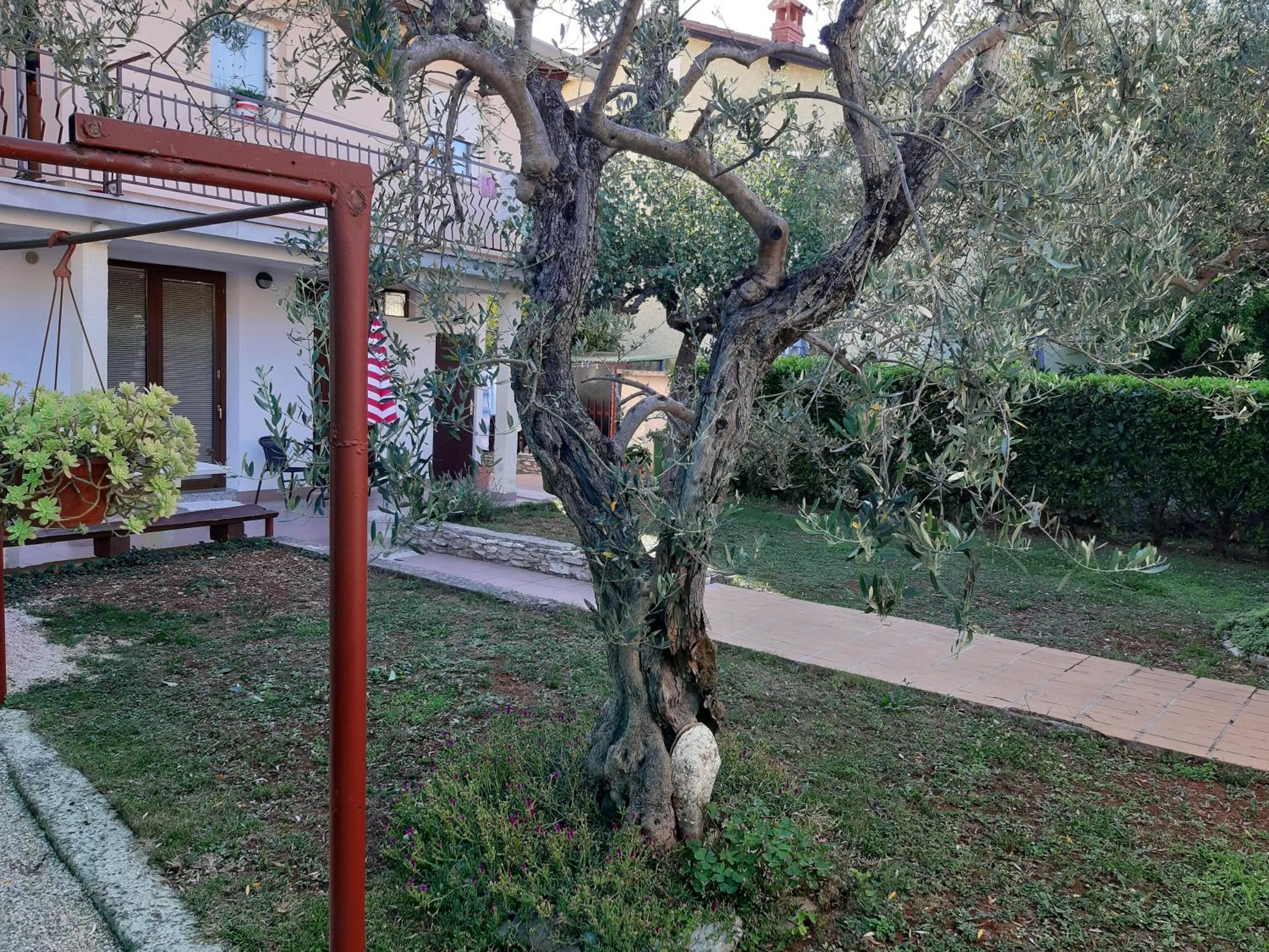 Studio Rocco