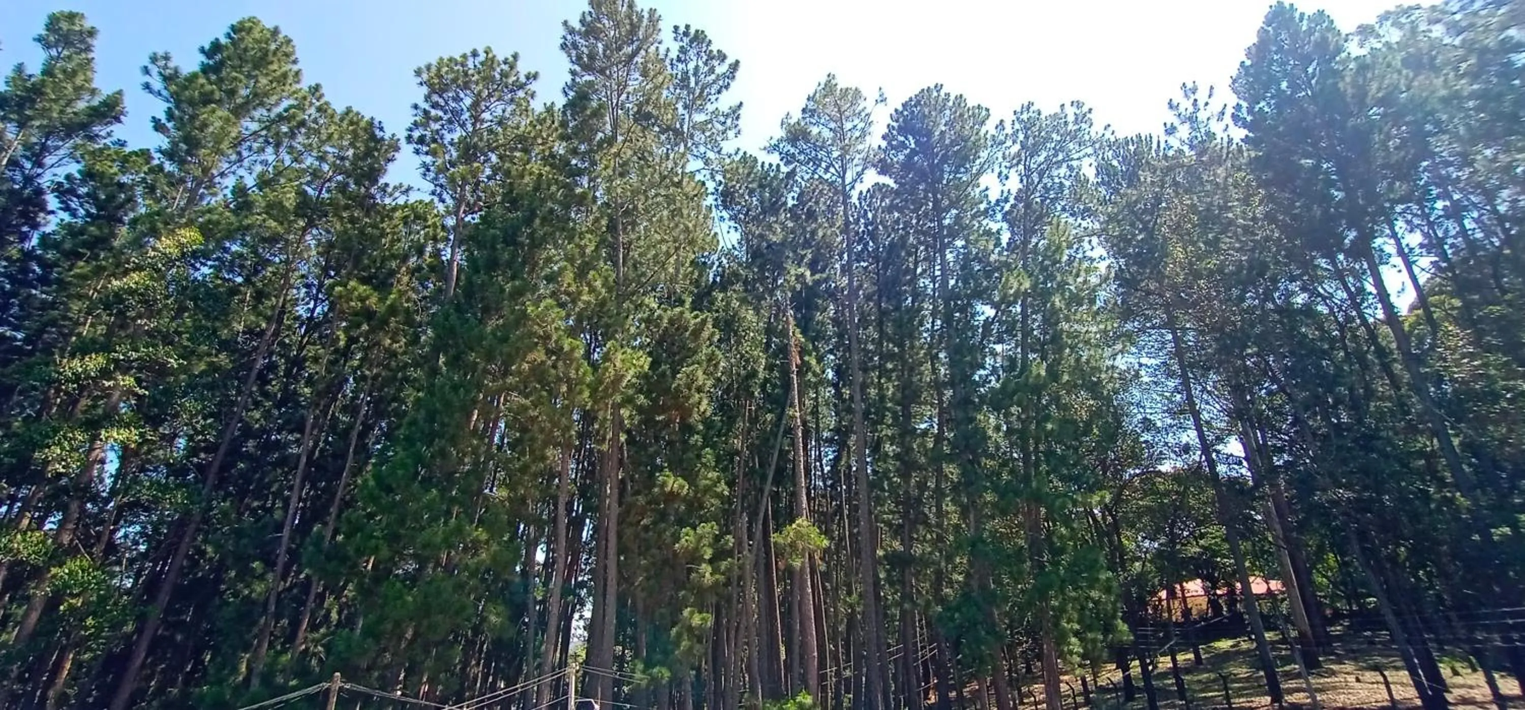 Lilara Hills - Diyatalawa