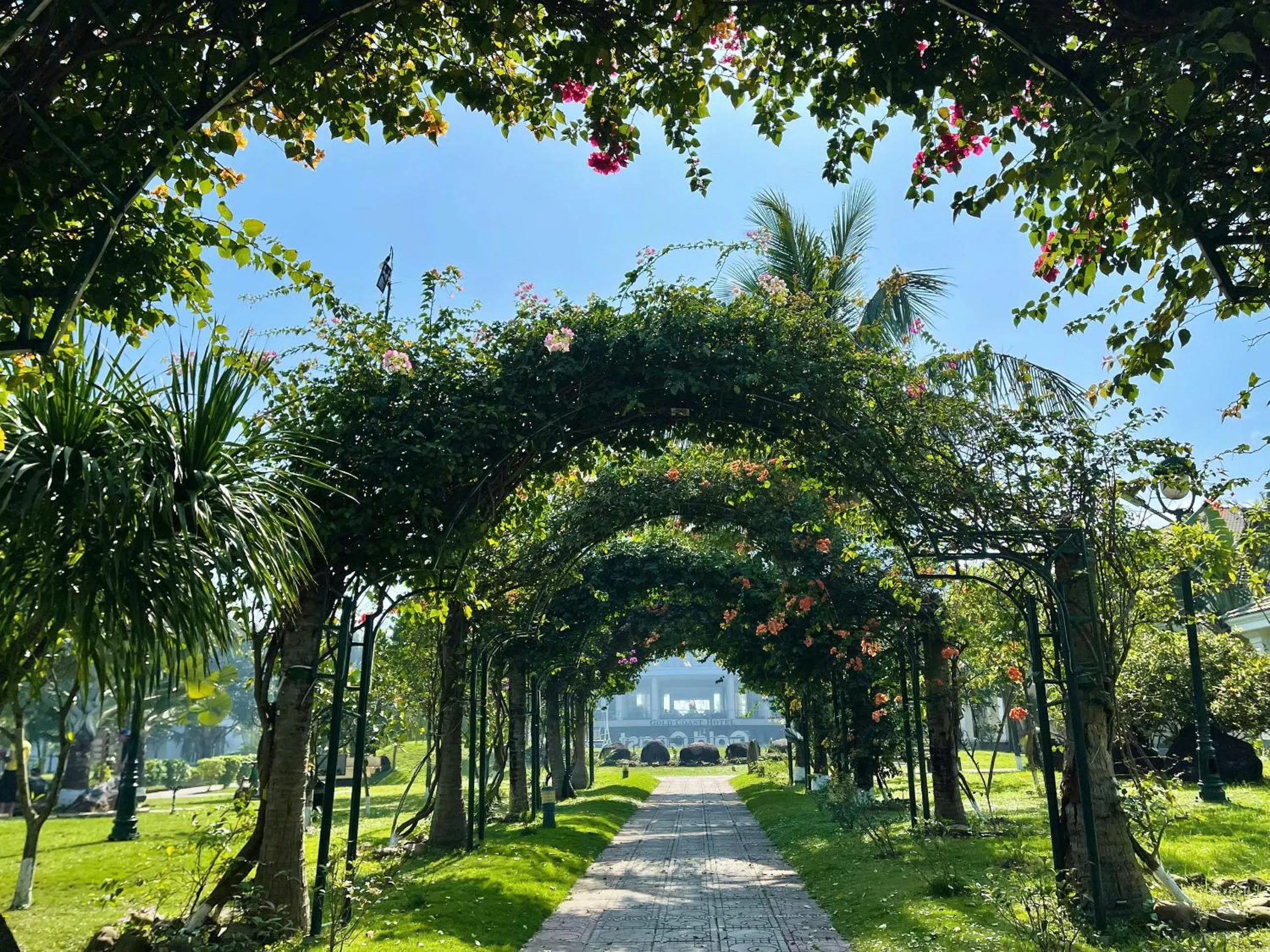 Natural landscape in Gold Coast Hotel Resort & Spa