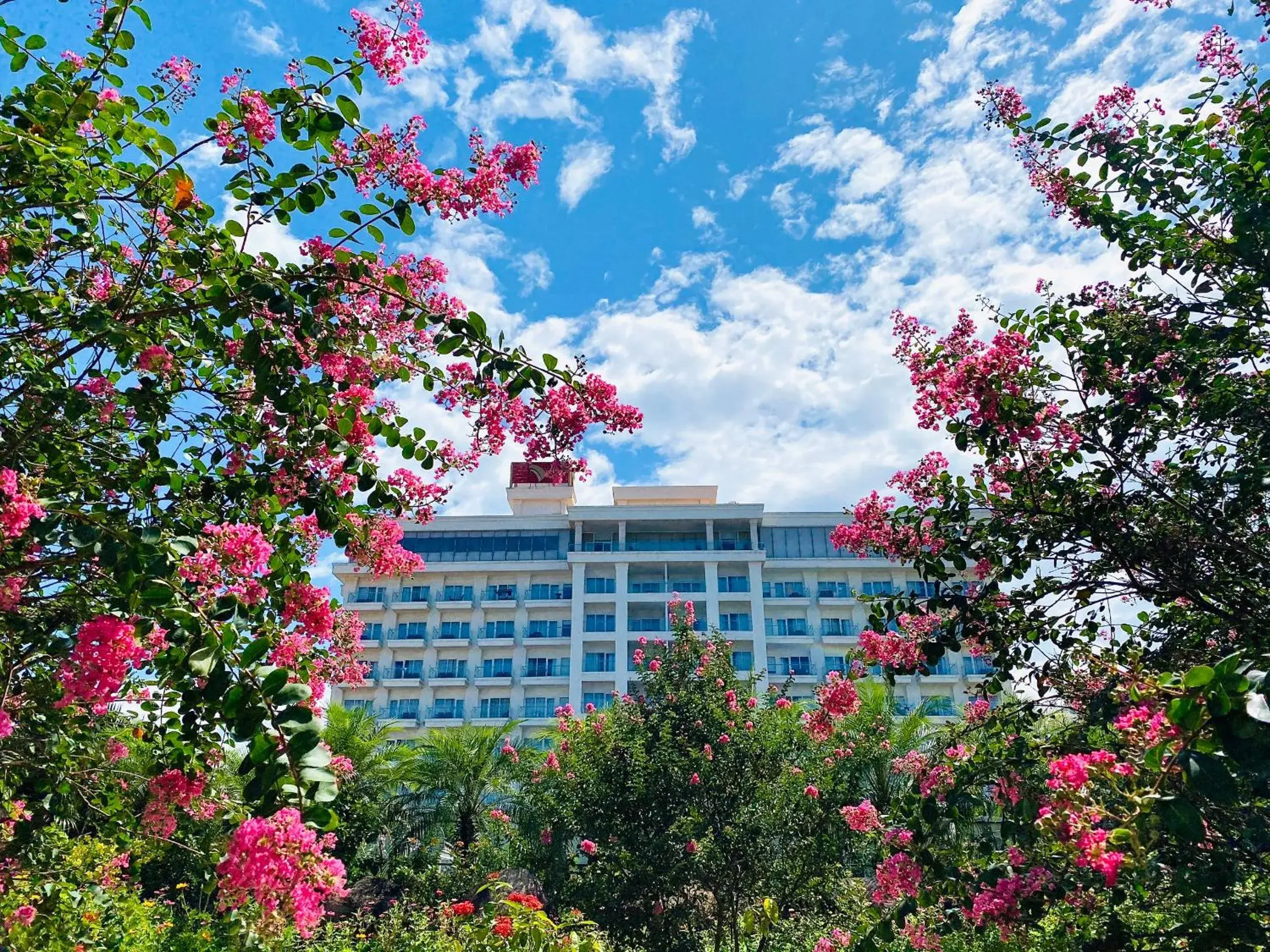 Property building in Gold Coast Hotel Resort & Spa Property building in Gold Coast Hotel Resort & Spa