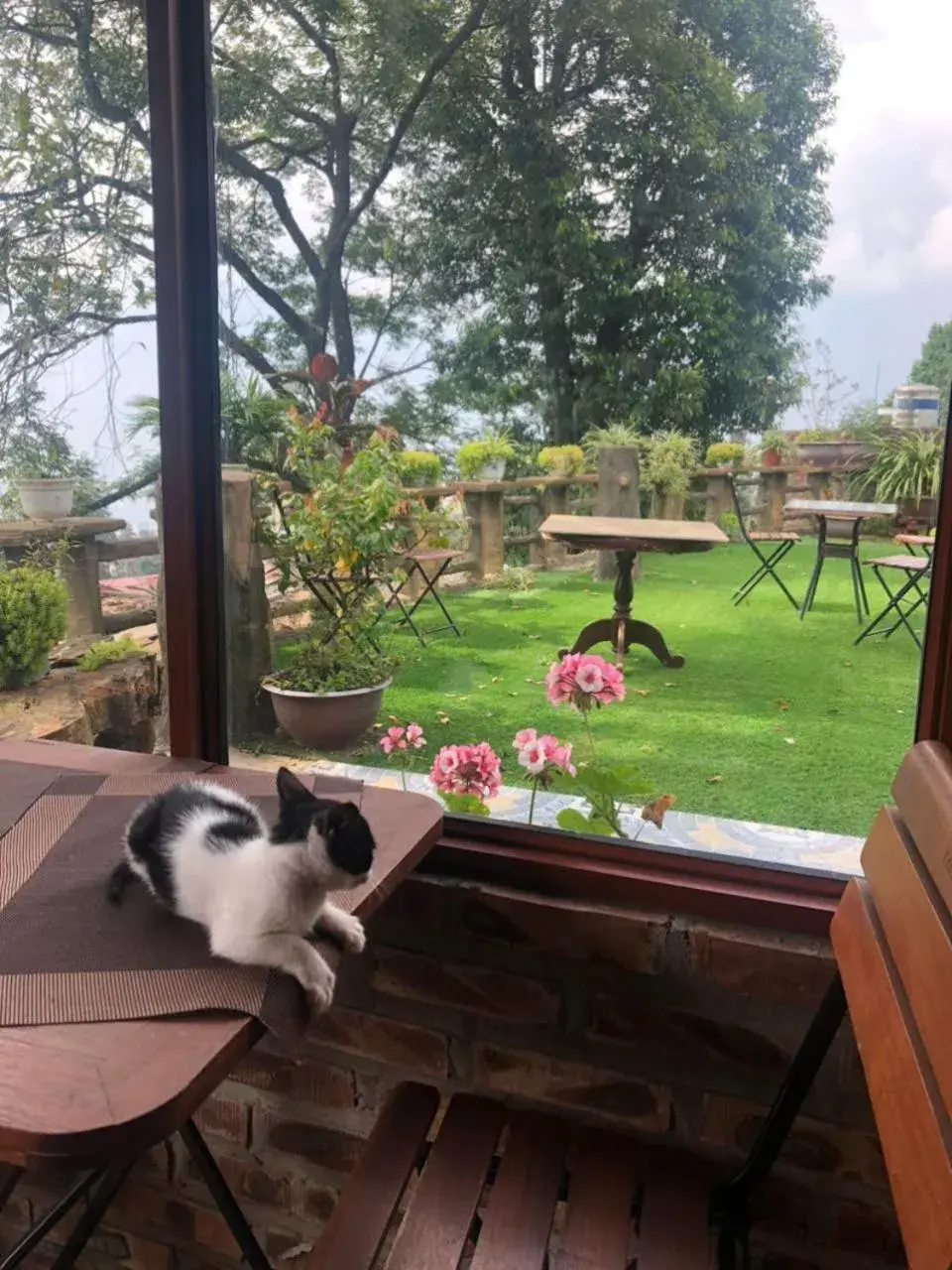 Restaurant/places to eat in Sapa Hidden Gem Hotel & Spa Restaurant/places to eat in Sapa Hidden Gem Hotel & Spa