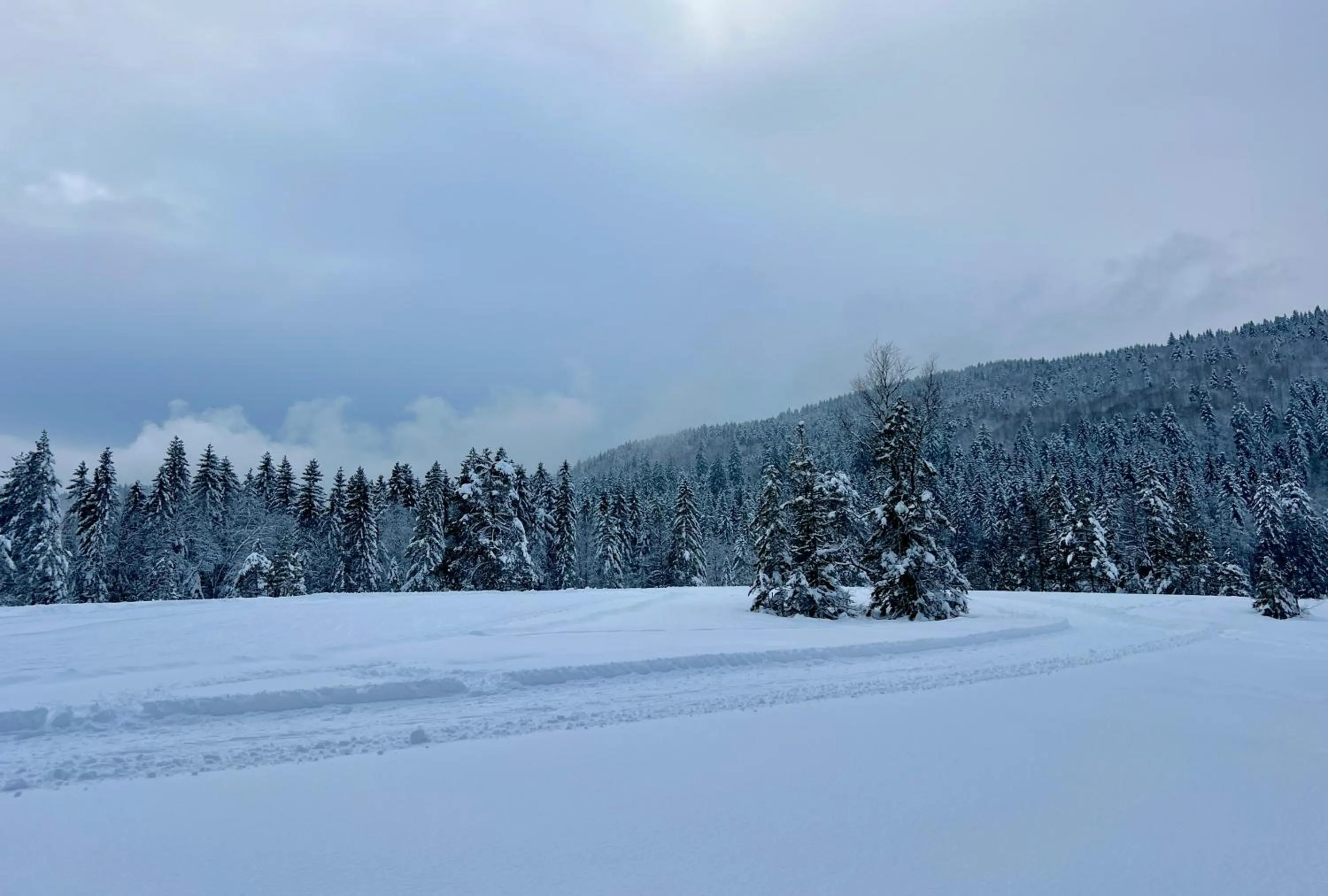 LOGIS HÔTEL, CHALETS et RESTAURANT LES CHATELMINÉS