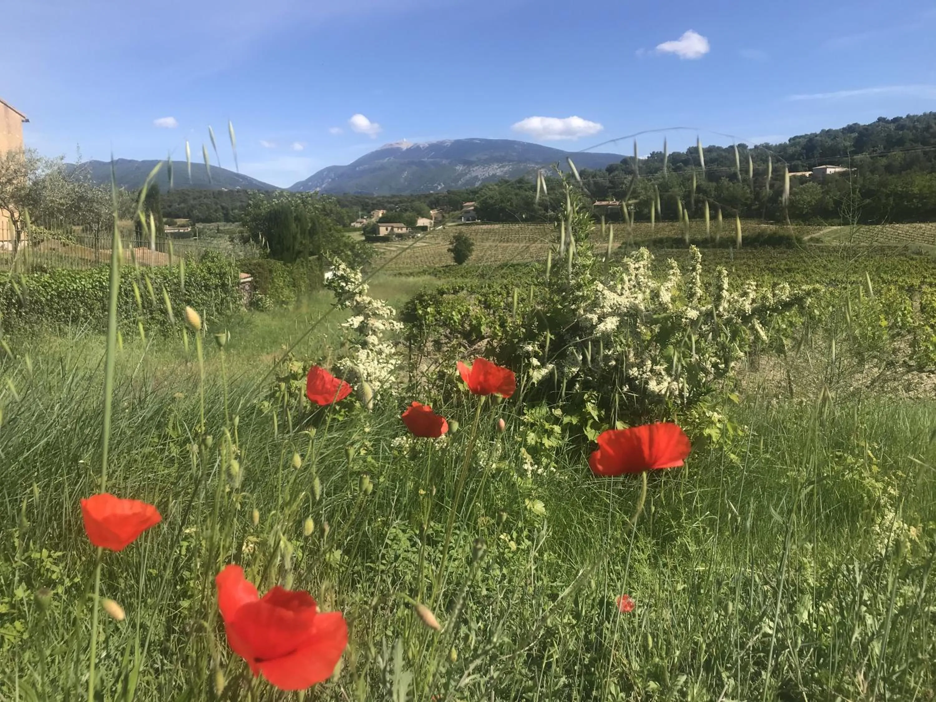 Hiking in le mas de colongene