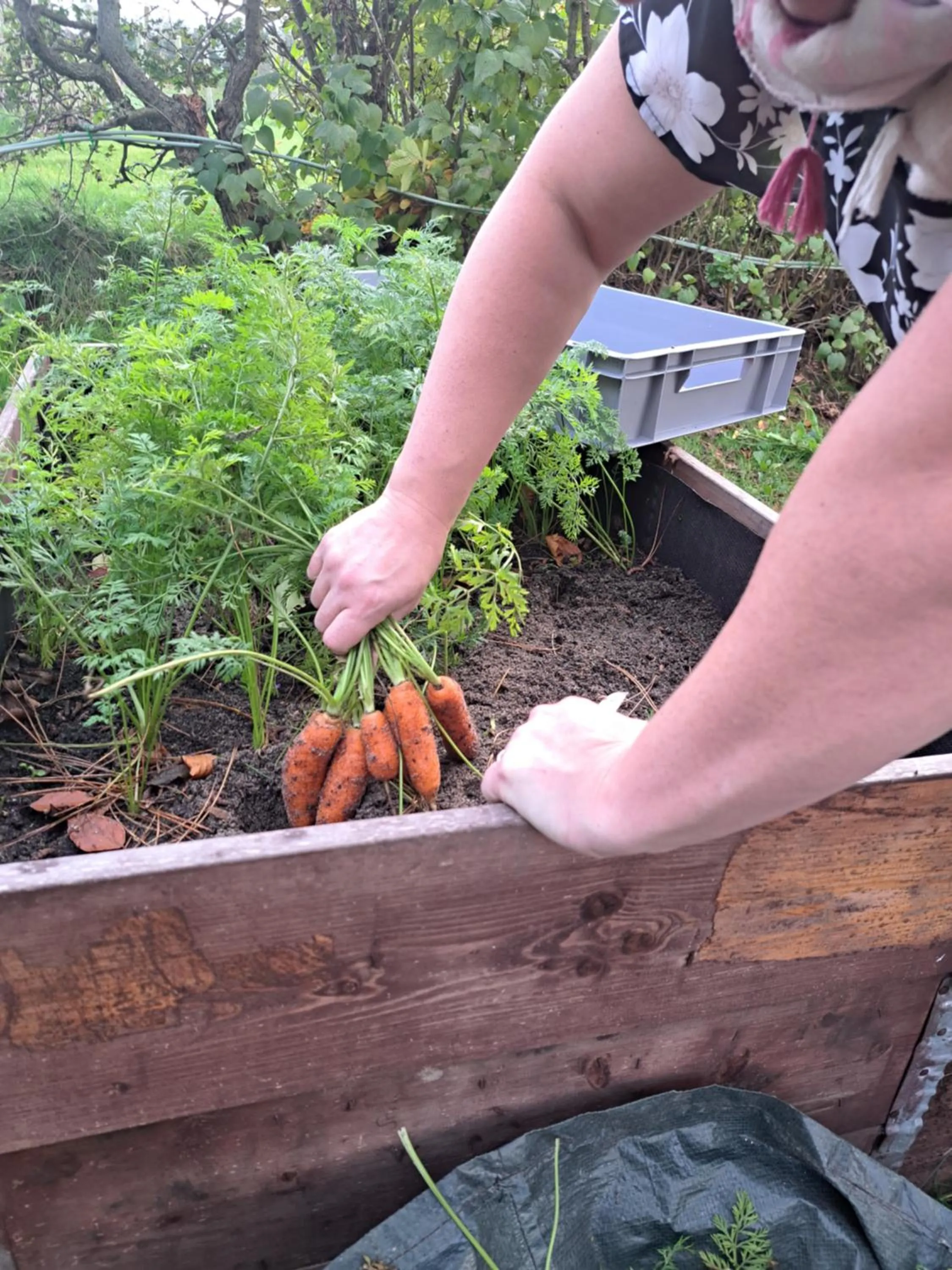 Restaurant/places to eat in La Ferme du Hélivy