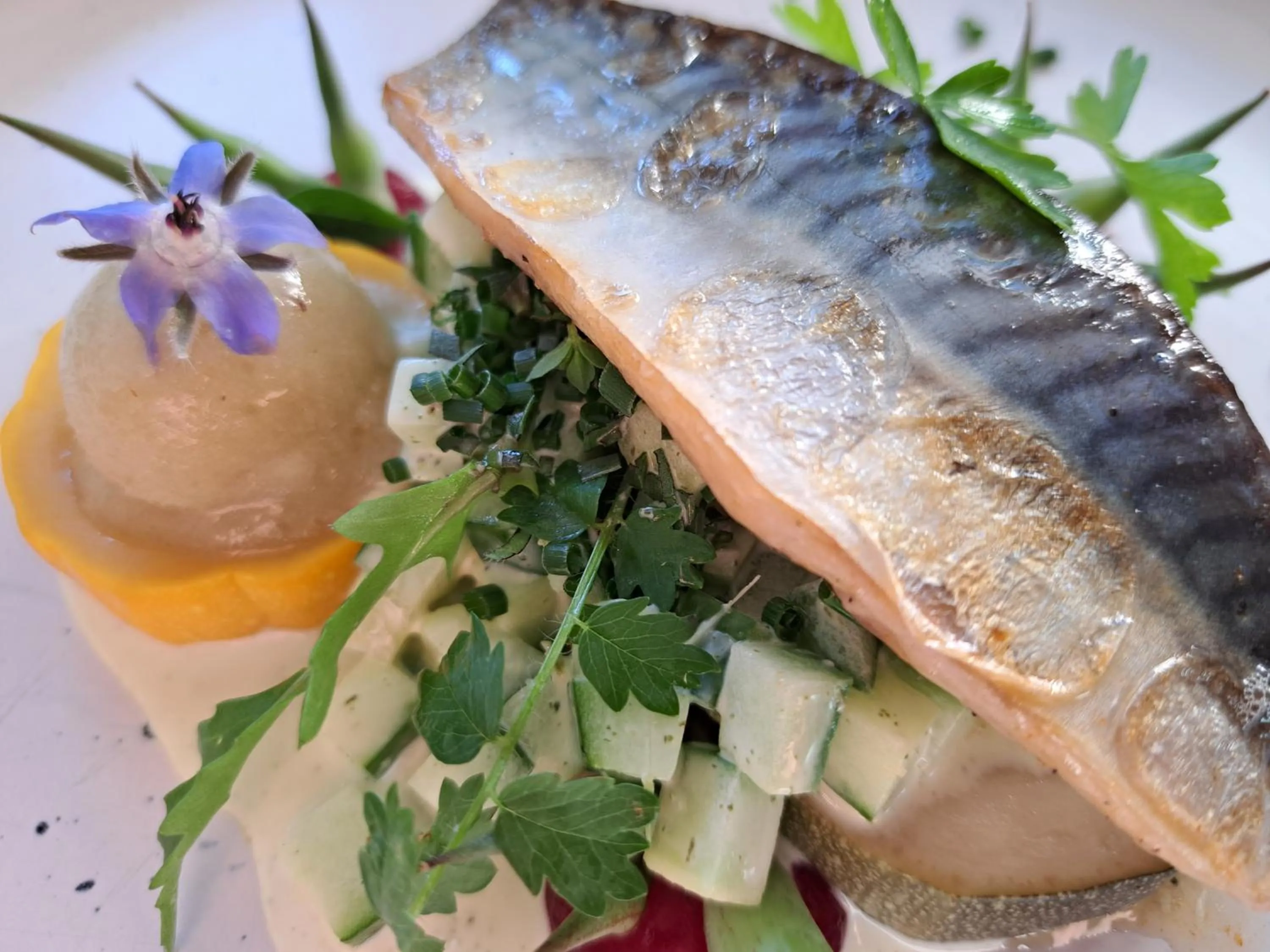 Restaurant/places to eat in La Ferme du Hélivy