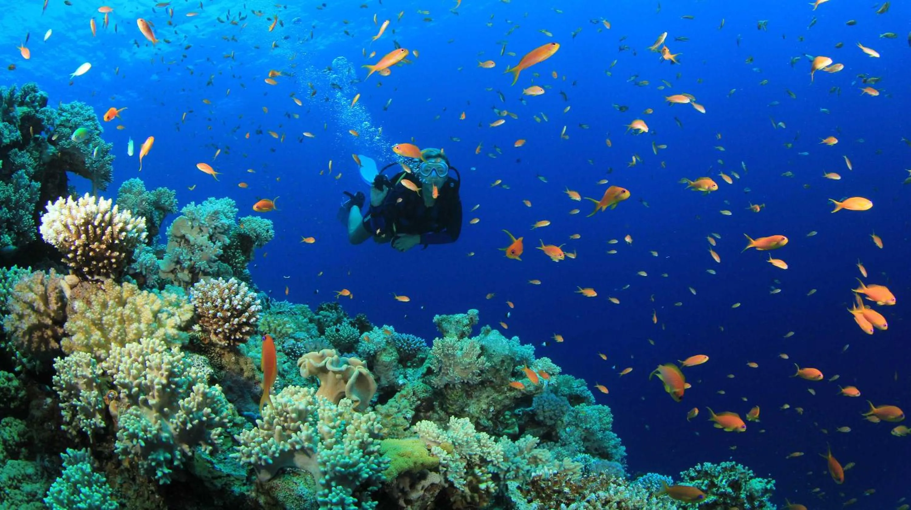 Snorkeling in WeLive Marettimo - luxury loft