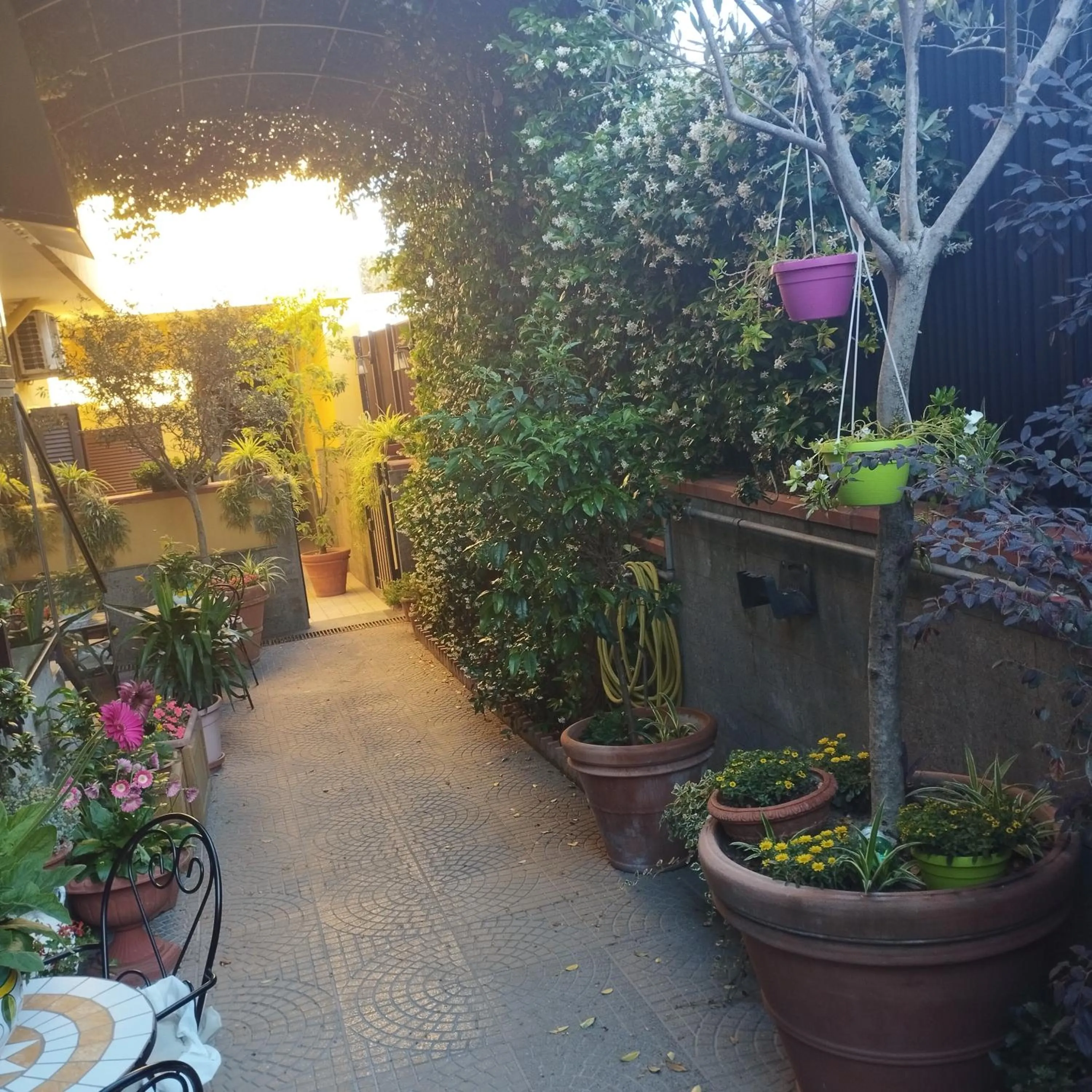 Garden in Home To Fly