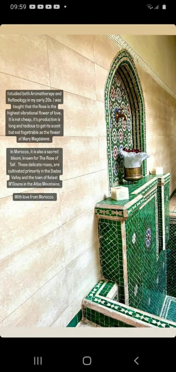 Riad Tidar by Phoenix