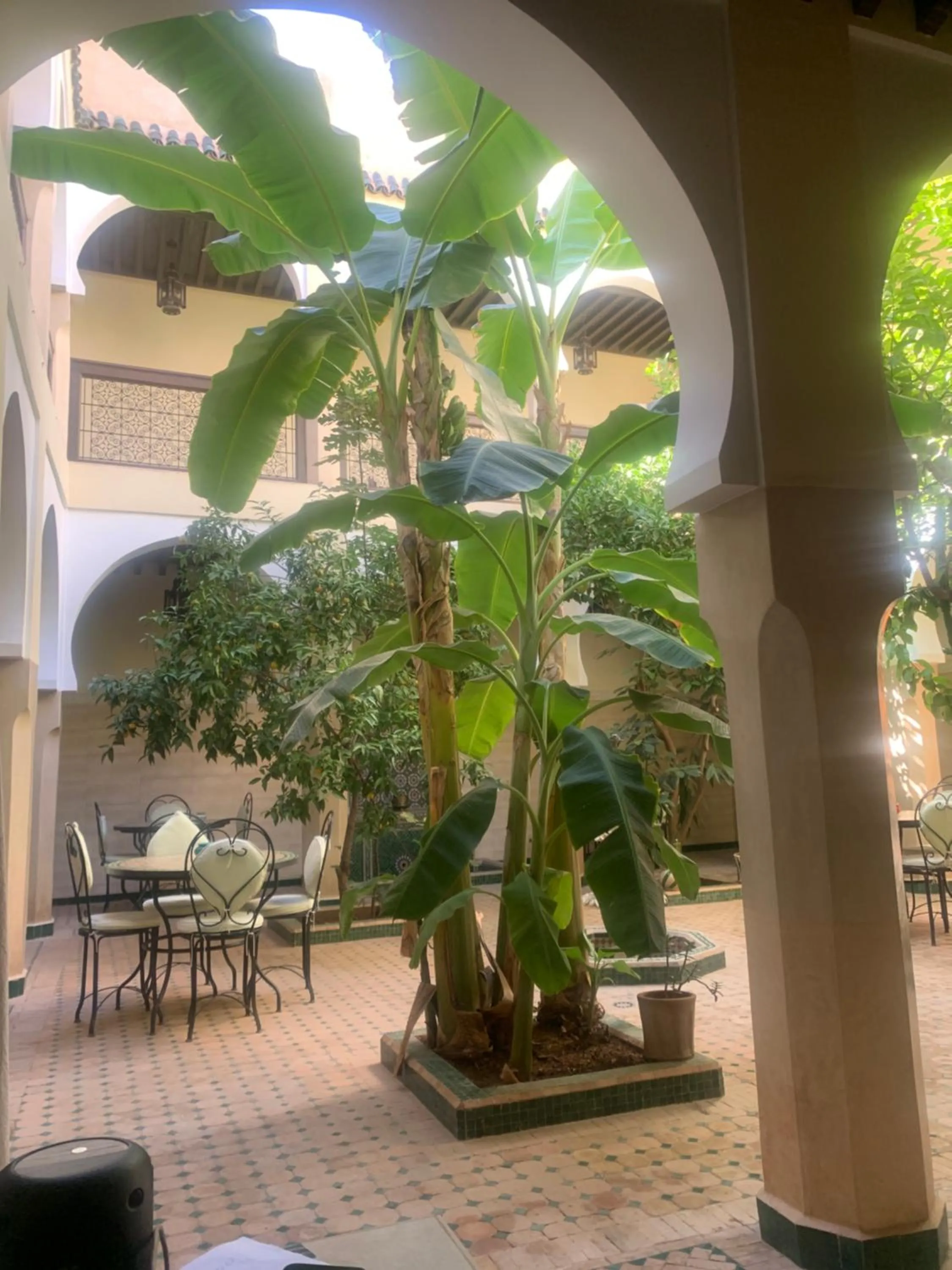 Riad Tidar by Phoenix