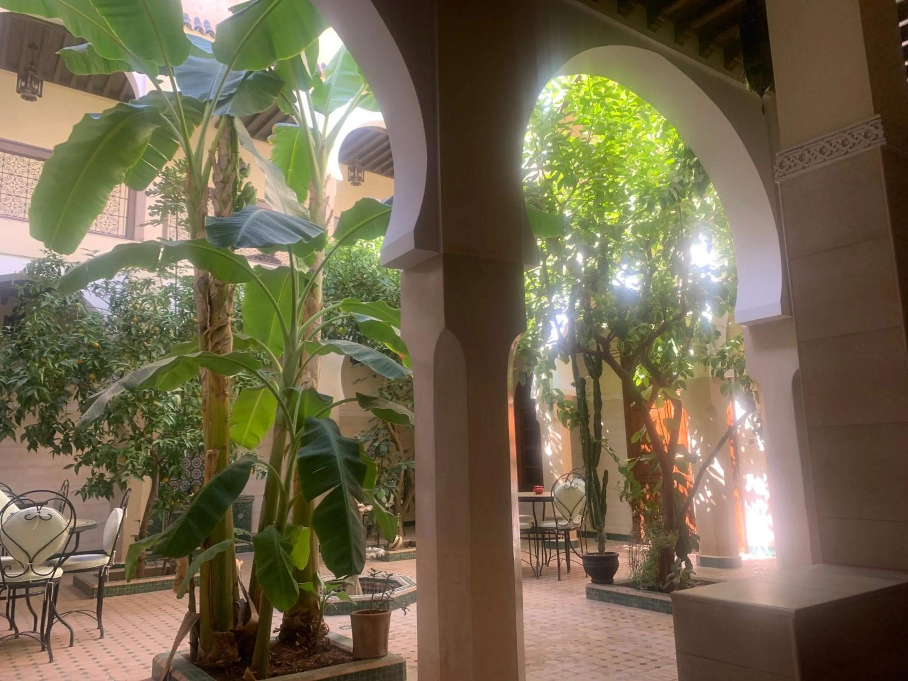 Riad Tidar by Phoenix