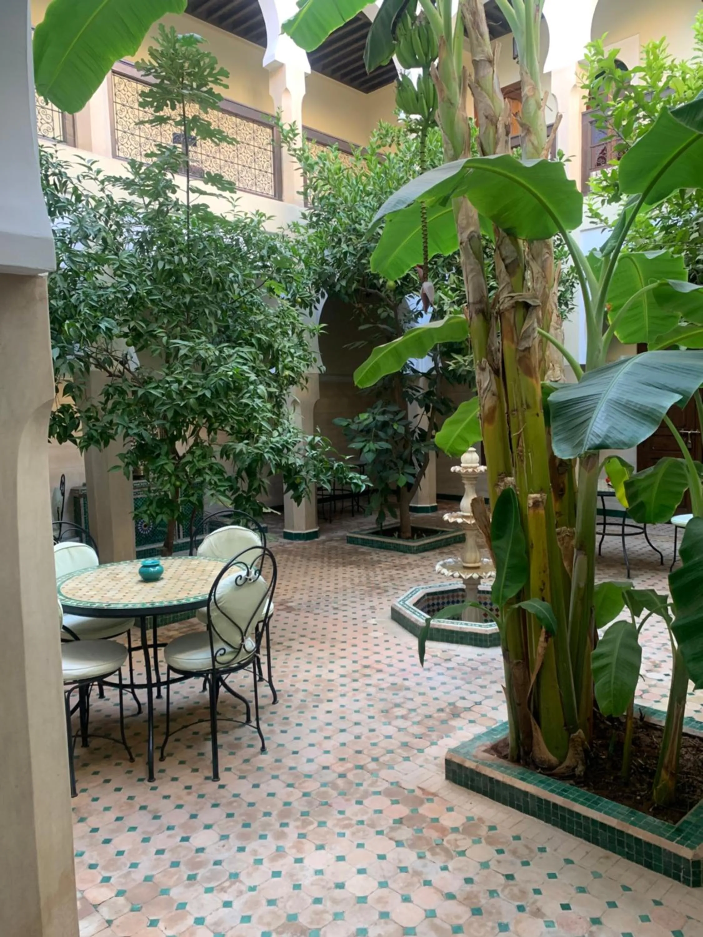 Riad Tidar by Phoenix