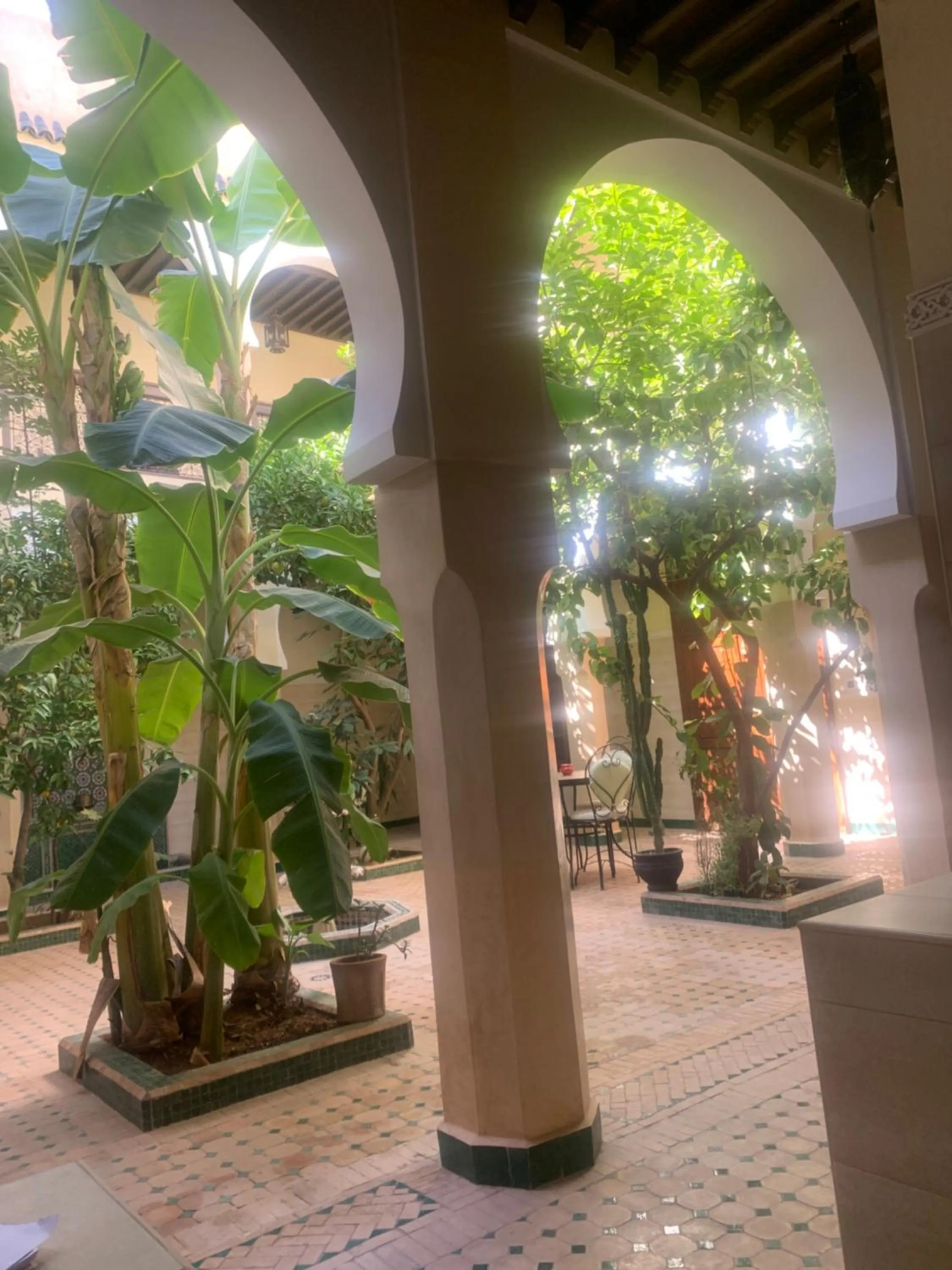 Riad Tidar by Phoenix