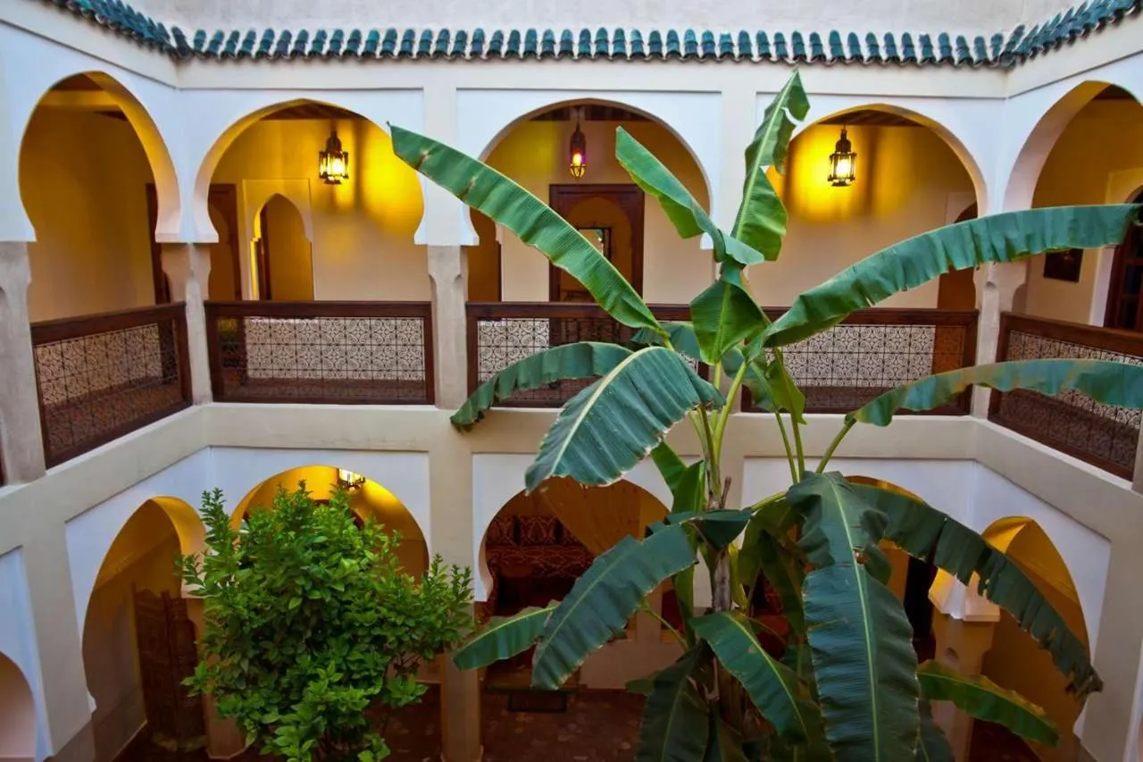 Riad Tidar by Phoenix